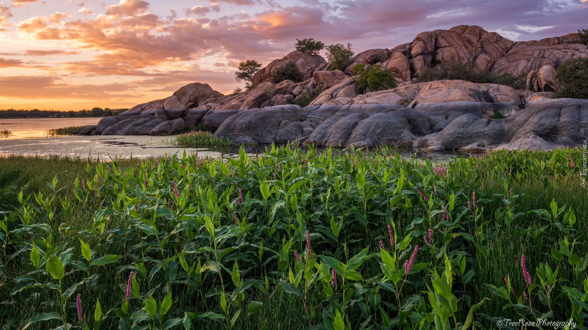 Jezioro, Willow Lake, Skały, Roślinność, Drzewa, Zachód słońca, Prescott, Arizona, Stany Zjednoczone