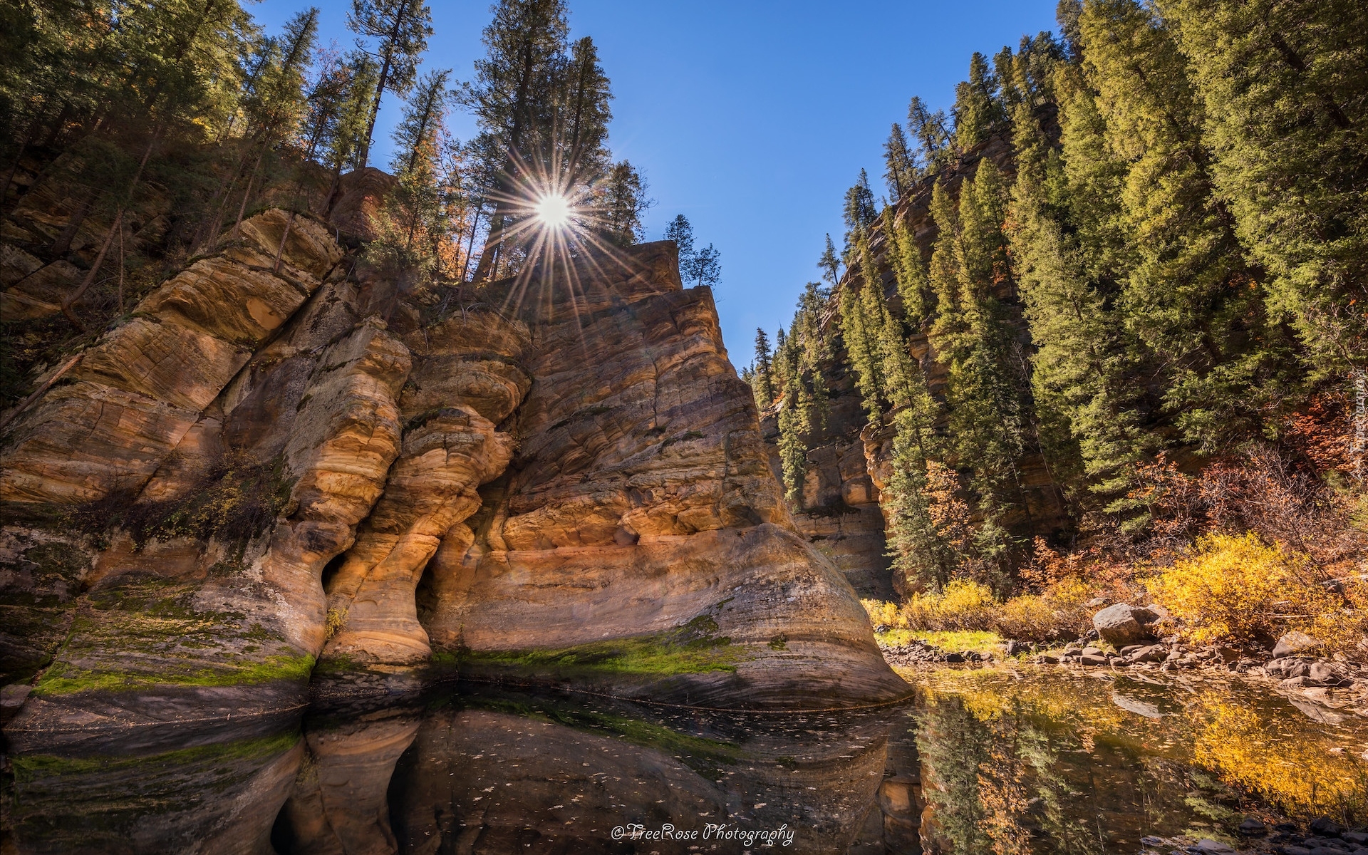 Stany Zjednoczone, Arizona, Sedona, Rzeka, Pumphouse Wash, Skały, Drzewa, Promienie słońca