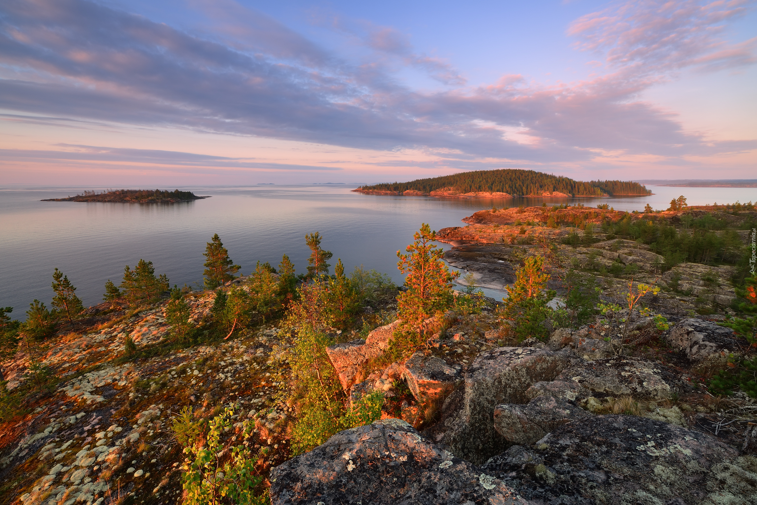 Jesień, Jezioro Ładoga, Skały, Rośliny, Drzewa, Karelia, Rosja