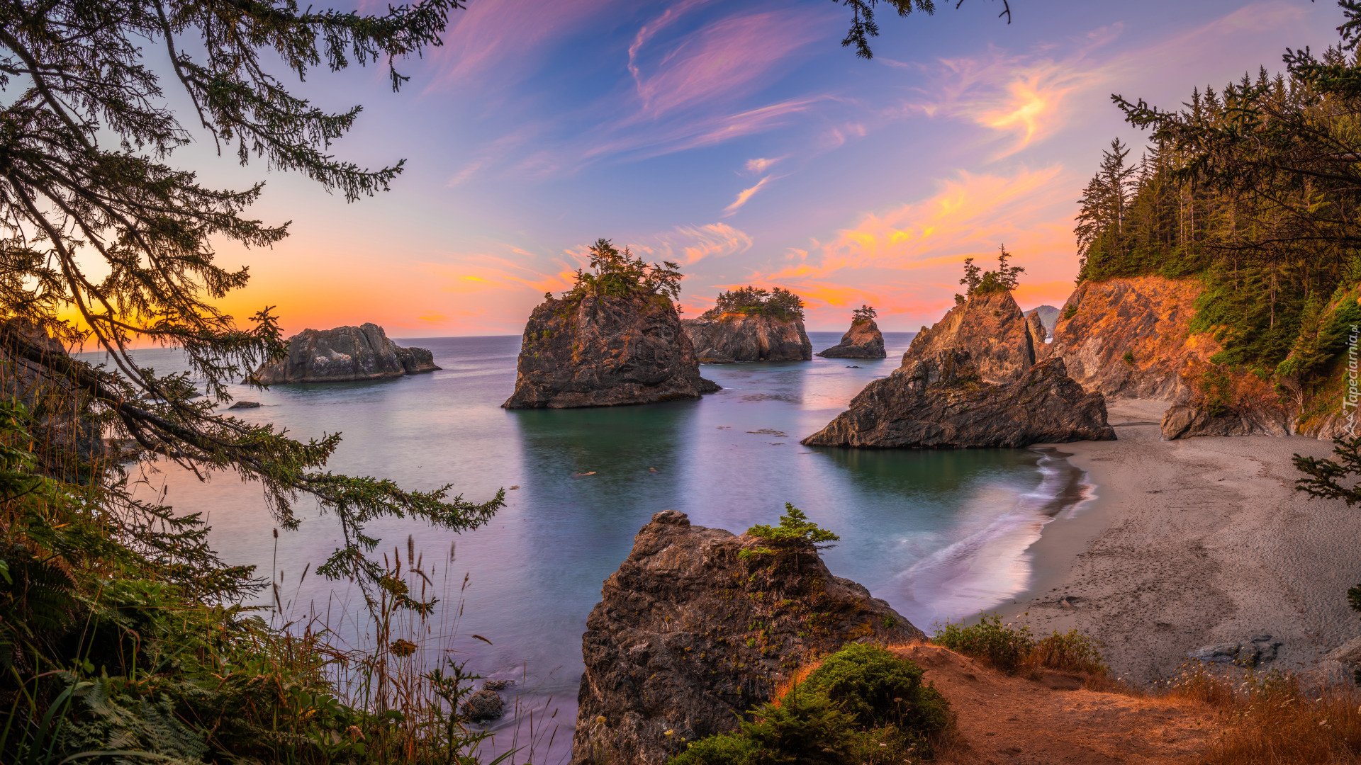 Morze, Skały, Brzeg, Drzewa, Niebo, Zachód słońca, Park stanowy, Samuel H Boardman State Scenic Corridor, Oregon, Stany Zjednoczone