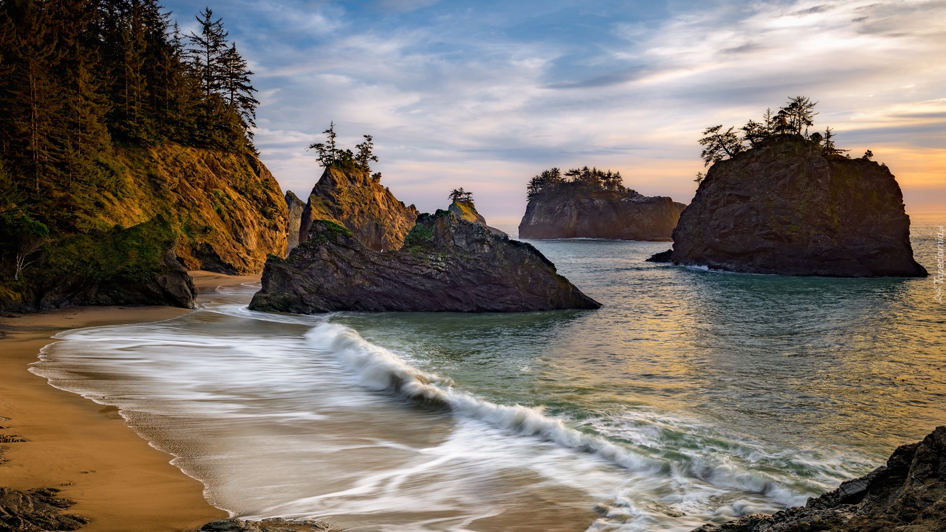Morze, Skały, Drzewa, Wybrzeże, Park stanowy, Samuel H Boardman State Scenic Corridor, Oregon, Stany Zjednoczone