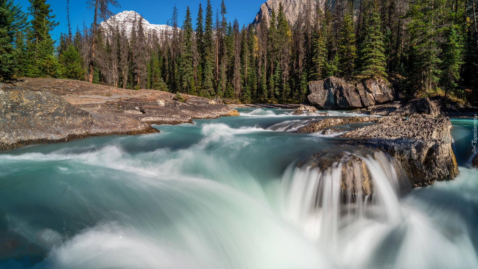 Góry, Drzewa, Świerki, Rzeka, Kicking Horse River, Skały, Park Narodowy Yoho, Kolumbia Brytyjska, Kanada