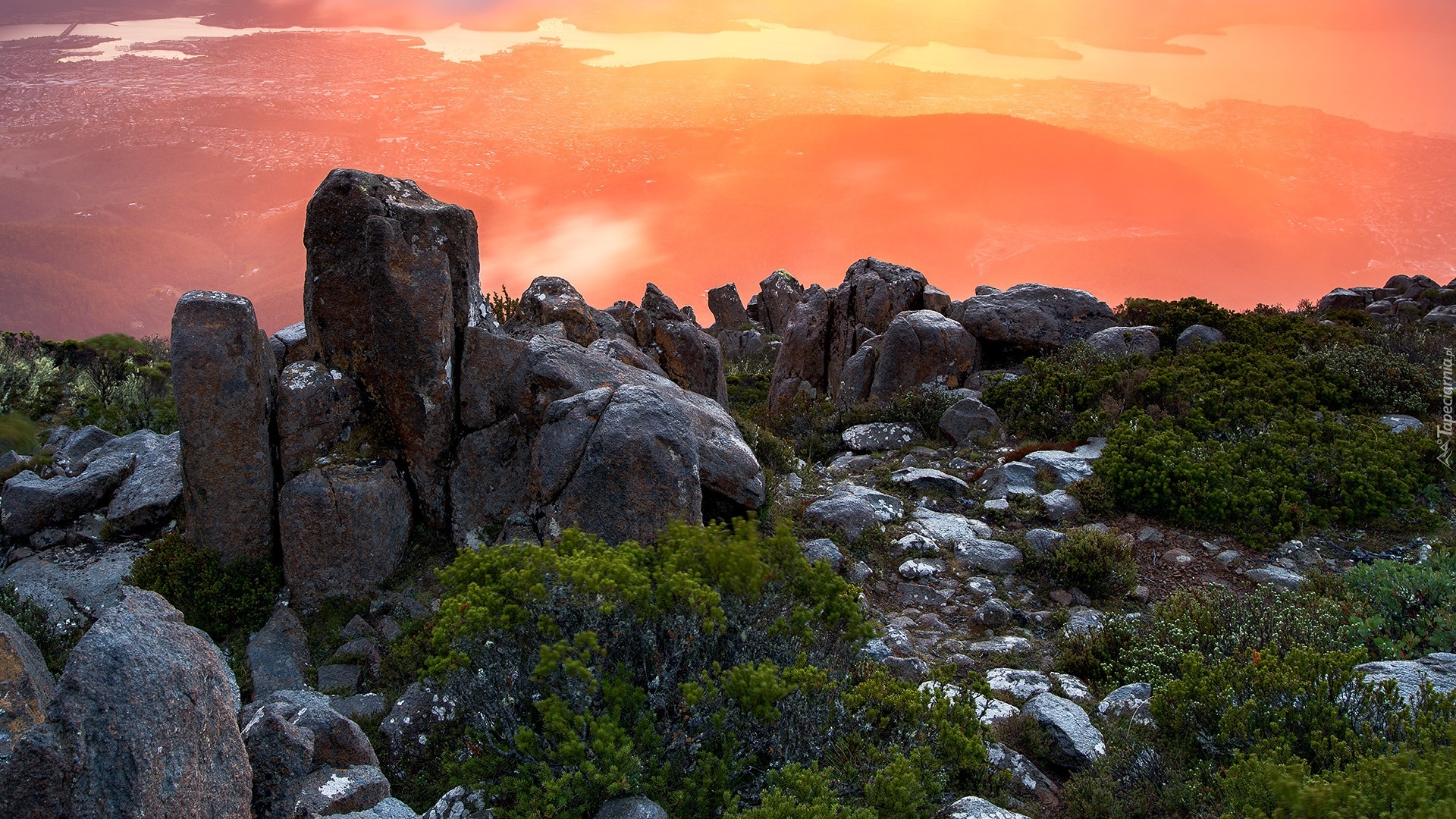 Skały, Krzewy, Szczyt, Mount Wellington, Stan Tasmania, Australia
