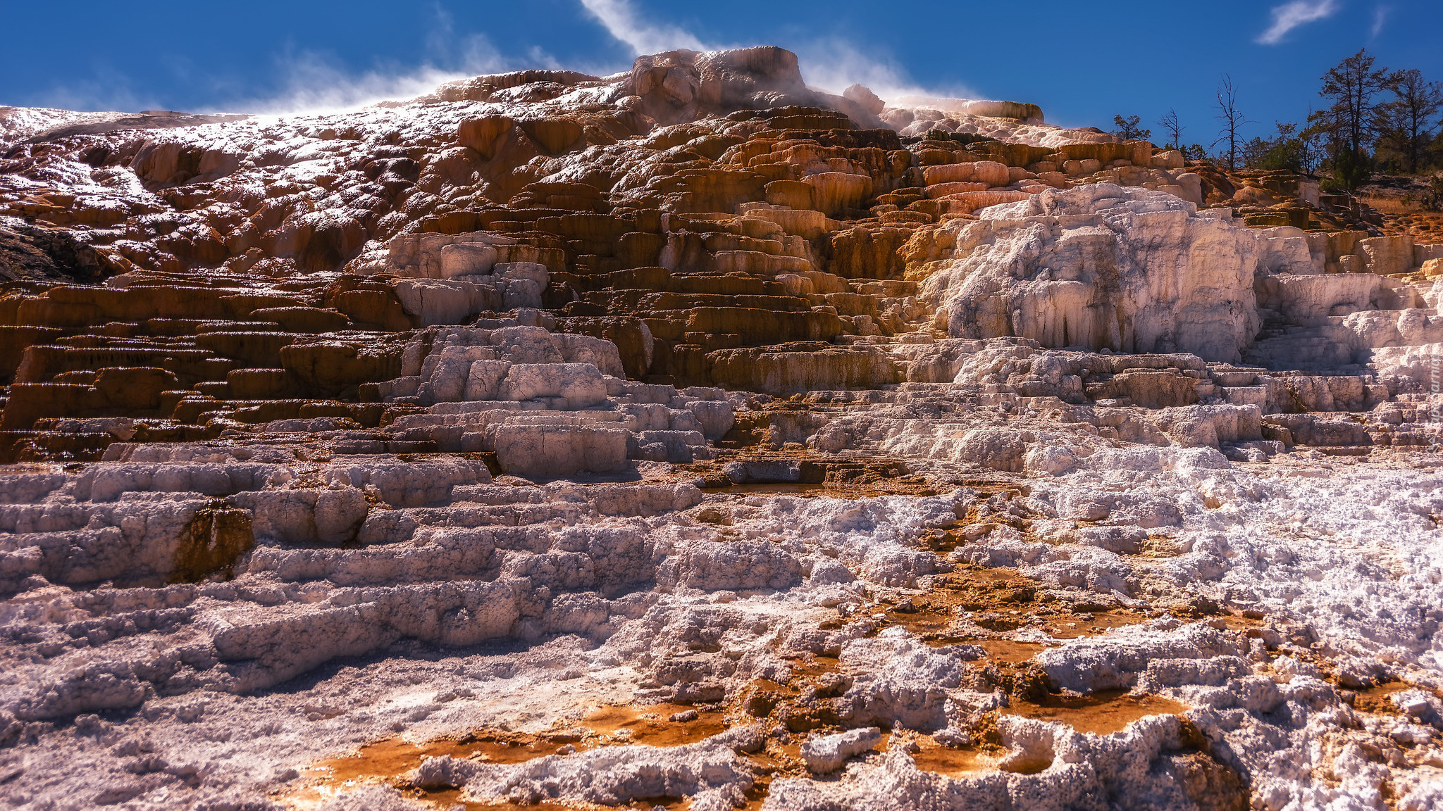 Skały, Mammoth Hot Springs, Drzewa, Park Narodowy Yellowstone, Wyoming, Stany Zjednoczone