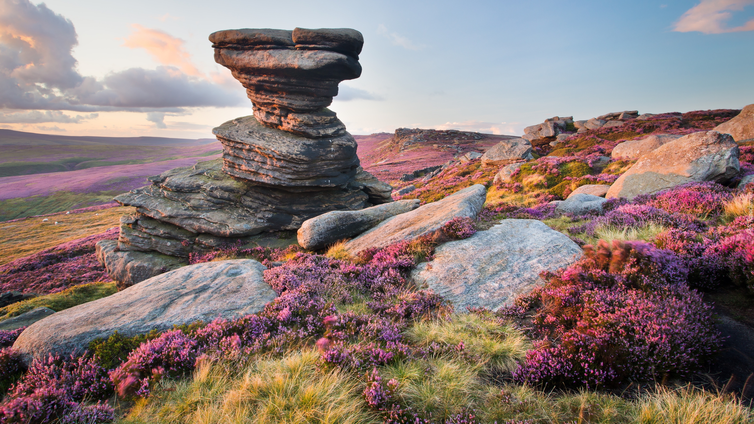 Wrzosowisko, Wzgórze, Skały, Kamienie, Park Narodowy Peak District, Formacja skalna Salt Cellar, Hrabstwo Derbyshire, Anglia