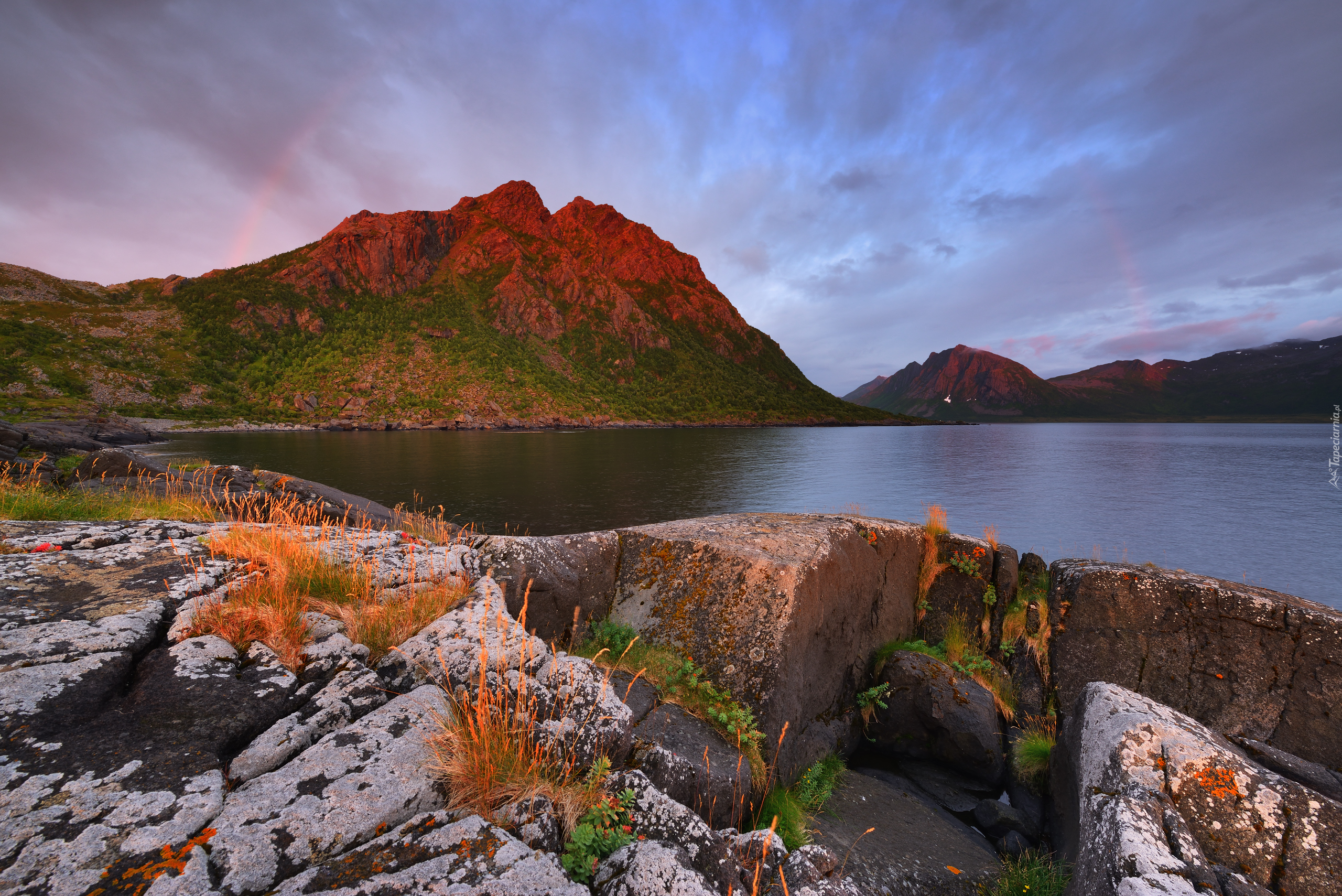 Morze, Skały, Góry, Roślinność, Wyspa Senja, Norwegia