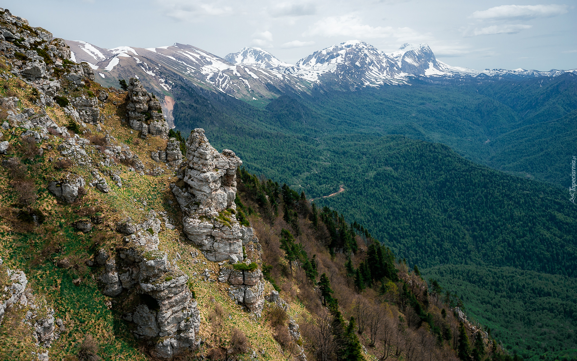 Góry, Skały, Drzewa, Dolina