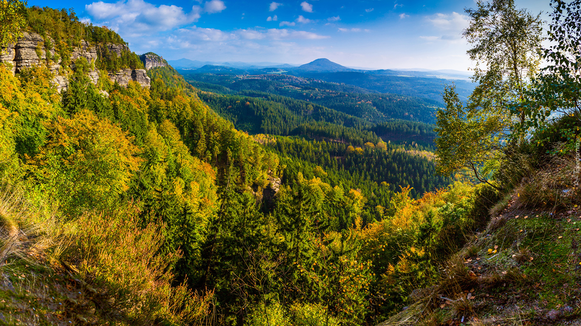 Lasy, Drzewa, Wzgórza, Jesień, Góry, Skała