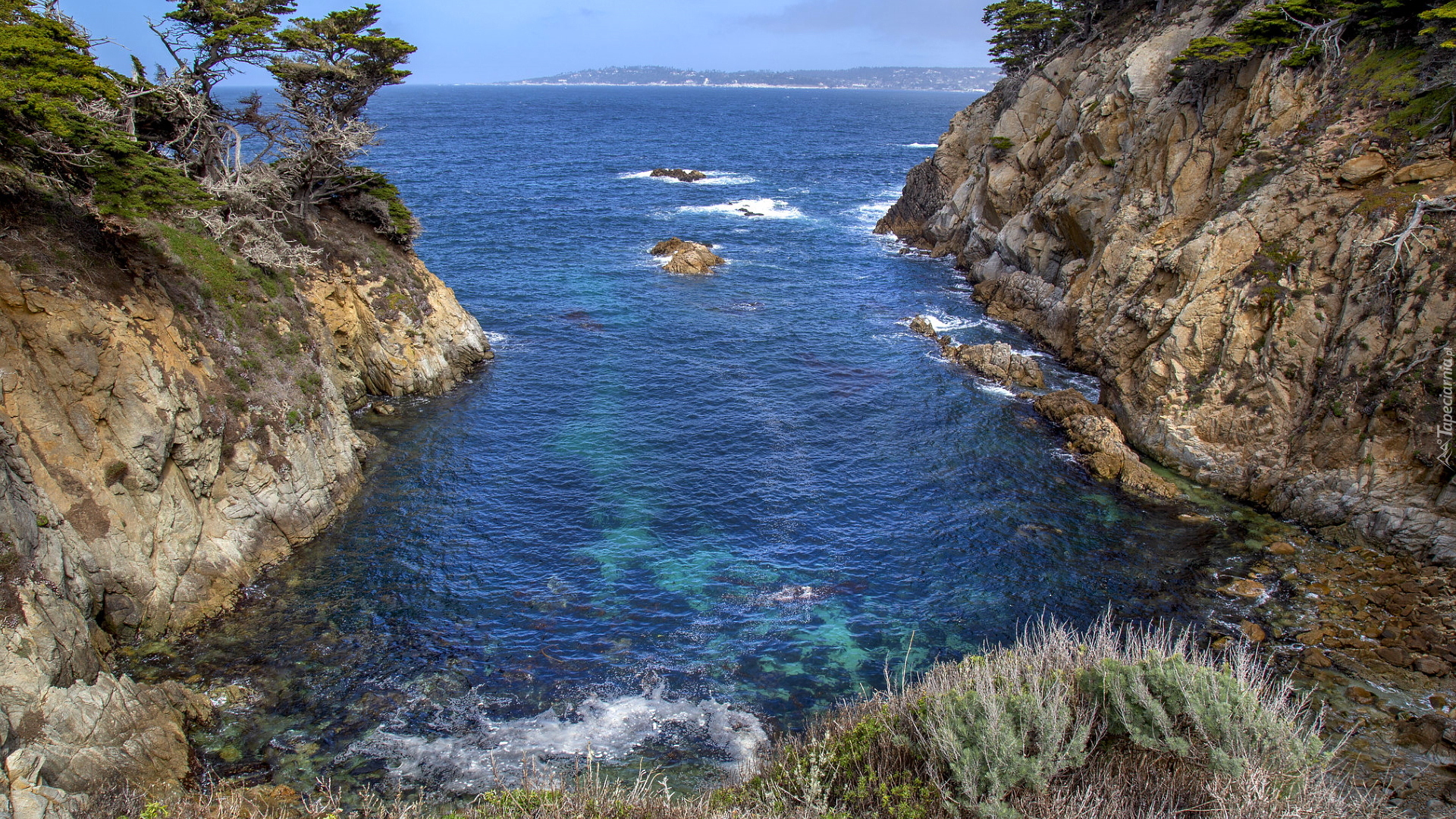 Morze, Skały, Zatoka, Drzewa, Rezerwat Point Lobos, Carmel by the Sea, Kalifornia, Stany Zjednoczone