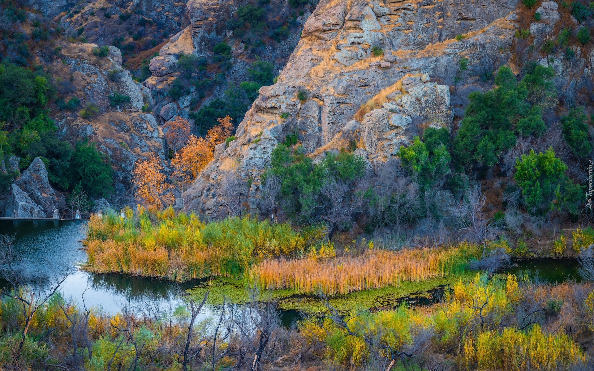 Stany Zjednoczone, Kalifornia, Park stanowy Malibu Creek, Rzeka Malibu Creek, Trawy, Góry, Skały, Roślinność