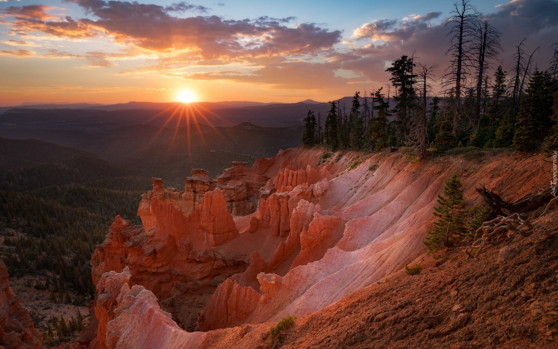 Zachód słońca, Skały, Drzewa, Promienie słońca, Park Narodowy Bryce Canyon, Utah, Stany zjednoczone