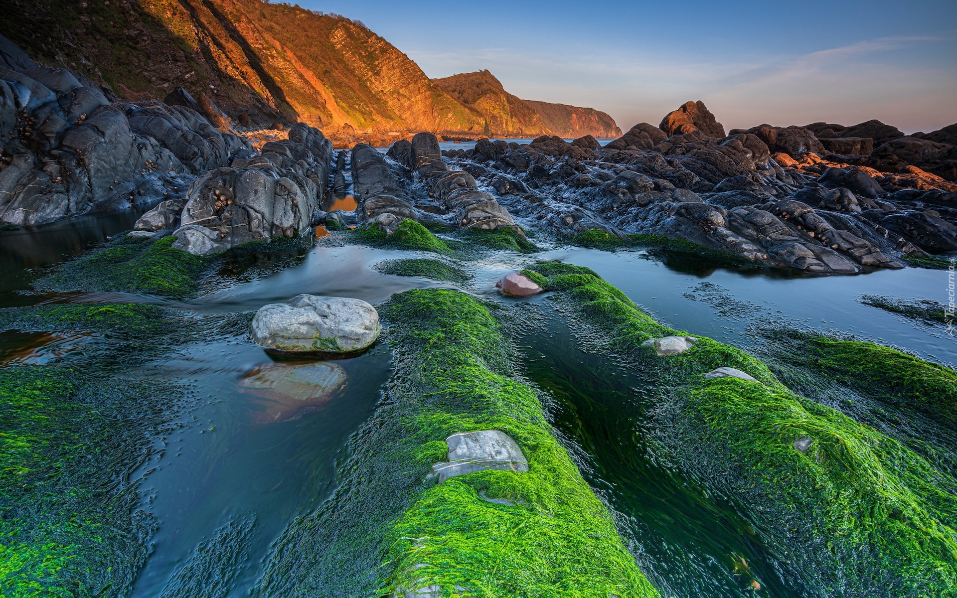 Morze, Skały, Kamienie, Glony, Wodorosty, Góry, Wybrzeże, Plaża, Mouthmill Beach, Devon, Anglia