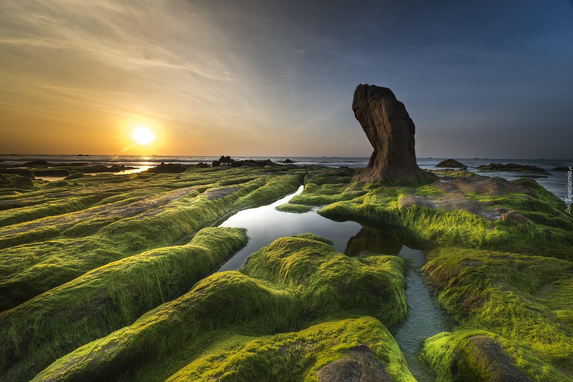 Morze, Skały, Kamienie, Wodorosty, Mech, Roślinność, Zachód słońca, Plaża Nam O Beach, Prowincja Da Nang, Wietnam