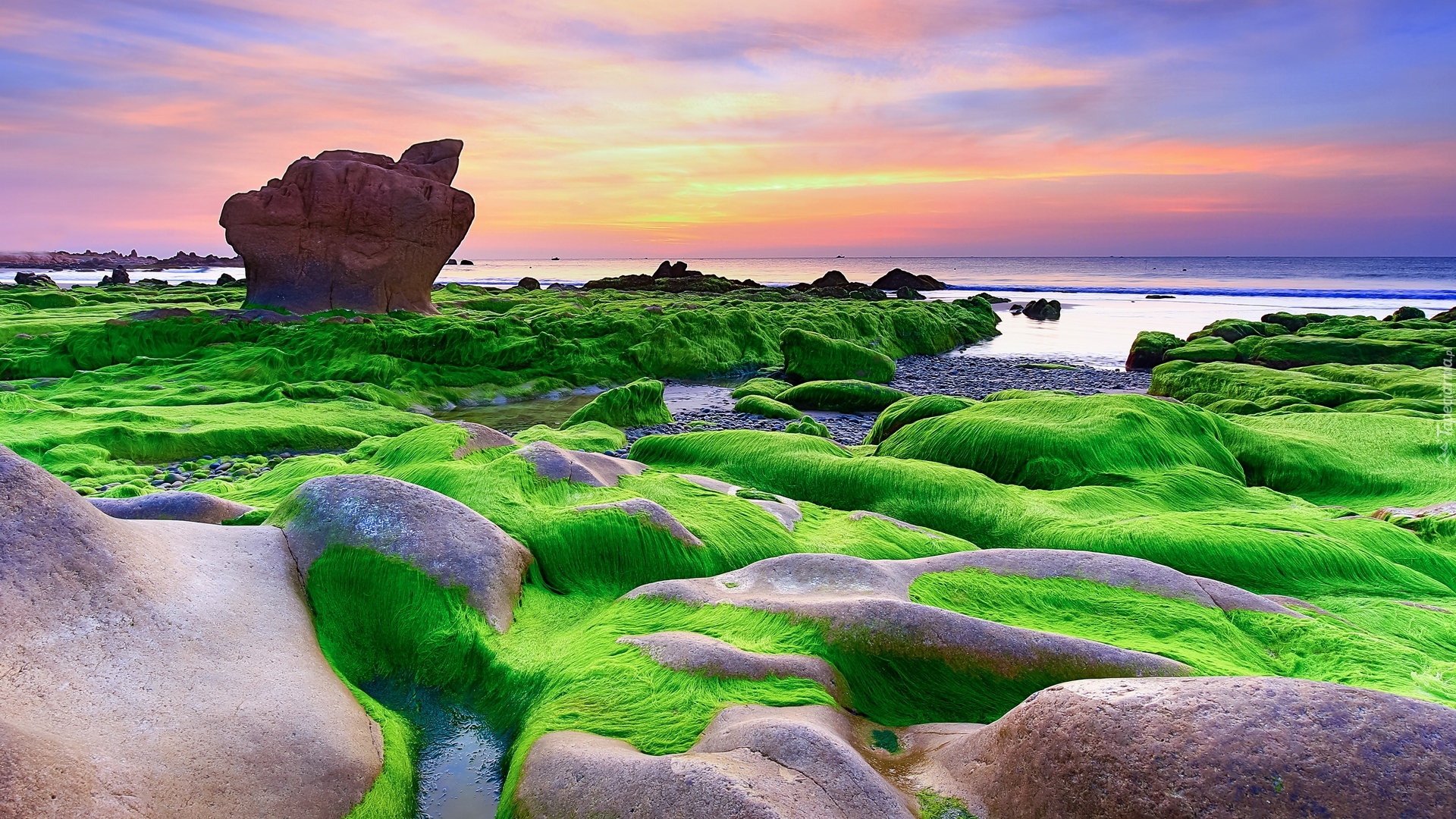 Morze, Brzeg, Wodorosty, Skały, Plaża Nam O Beach, Prowincja Da Nang, Wietnam