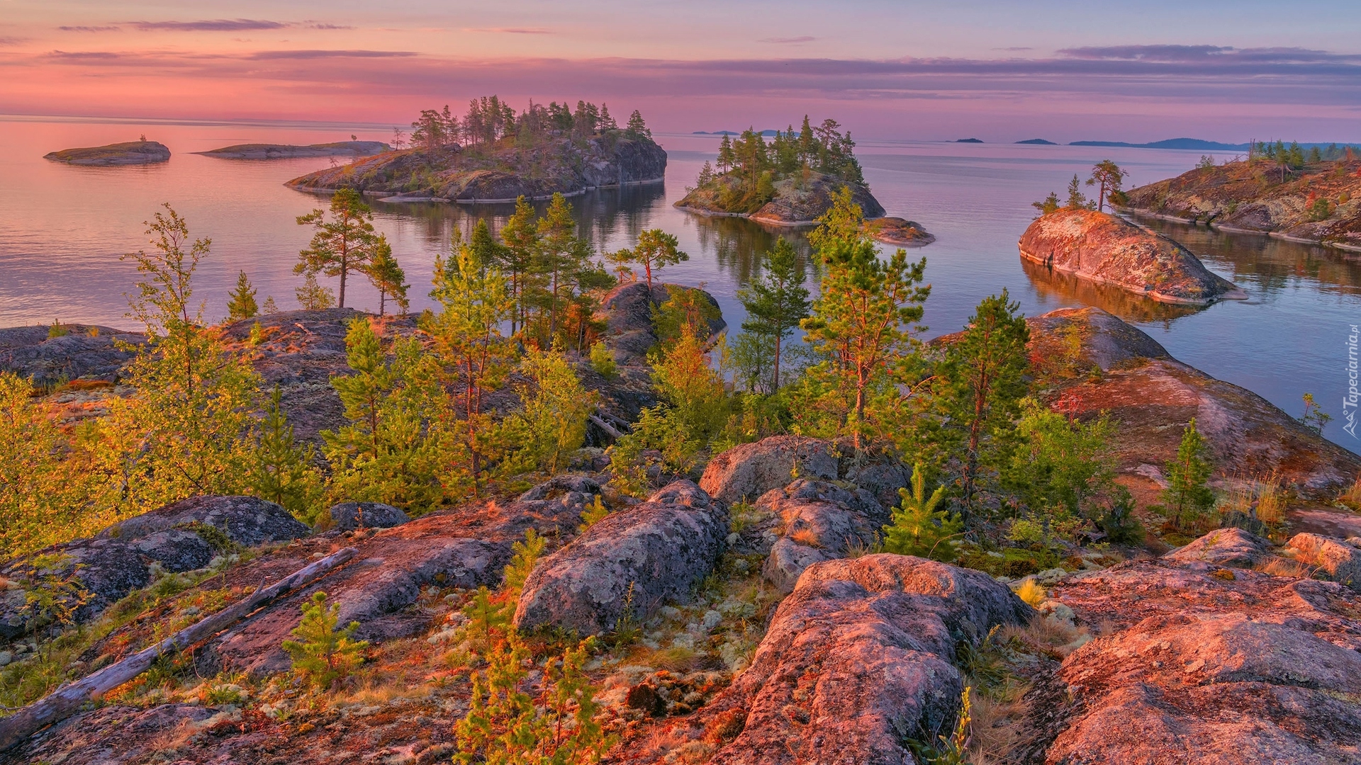 Rosja, Jezioro Ładoga, Wysepki, Skały, Drzewa, Roślinność, Karelia, Rosja