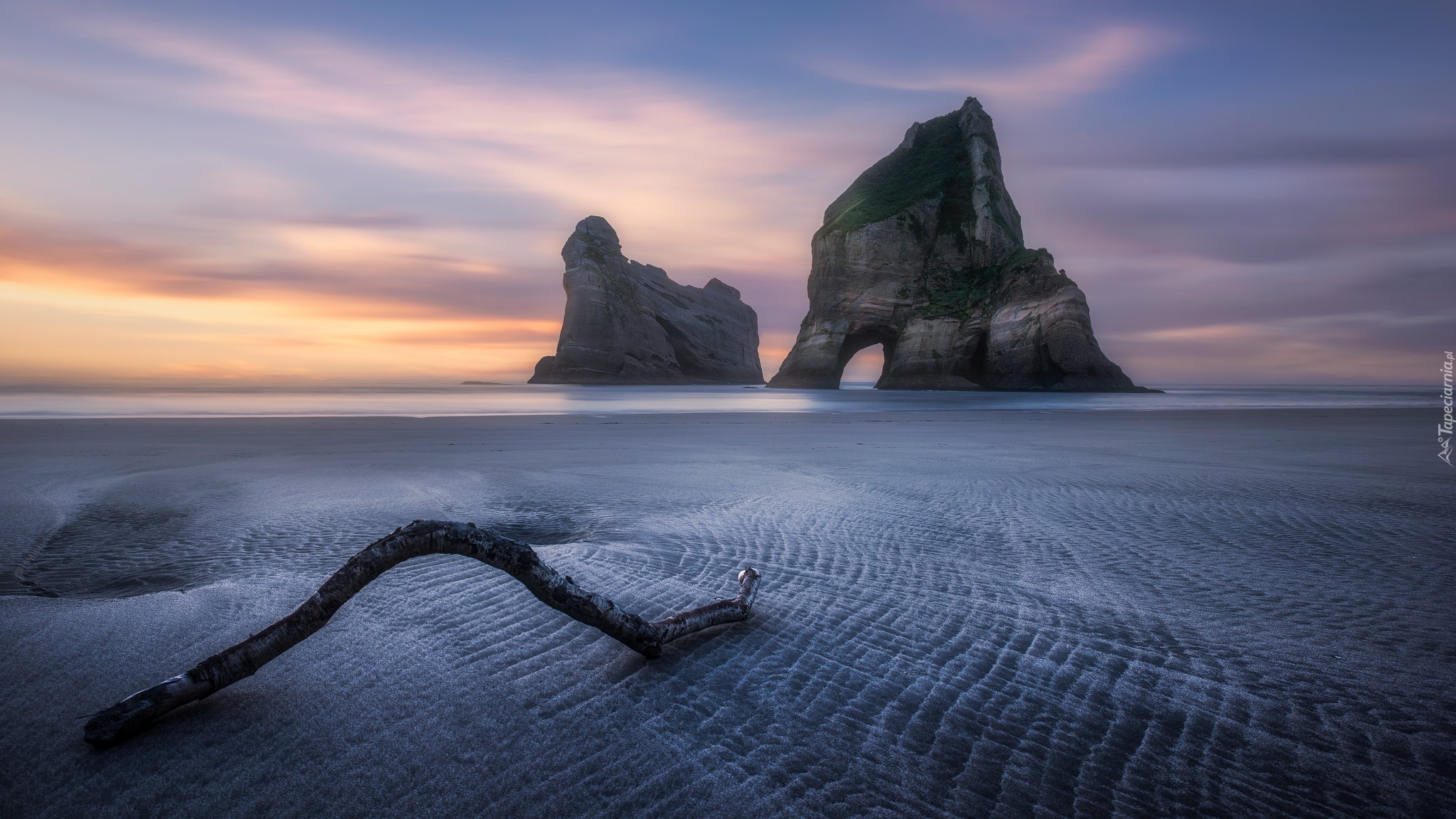 Nowa Zelandia, Morze Tasmana, Plaża, Wharariki Beach, Wybrzeże, Skały, Konar