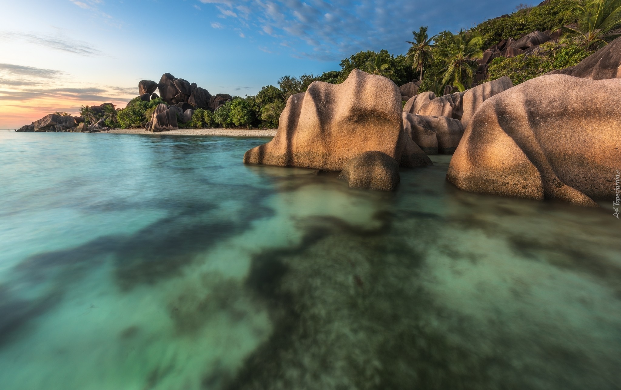 Seszele, Wyspa La Digue, Ocean, Skały, Palmy