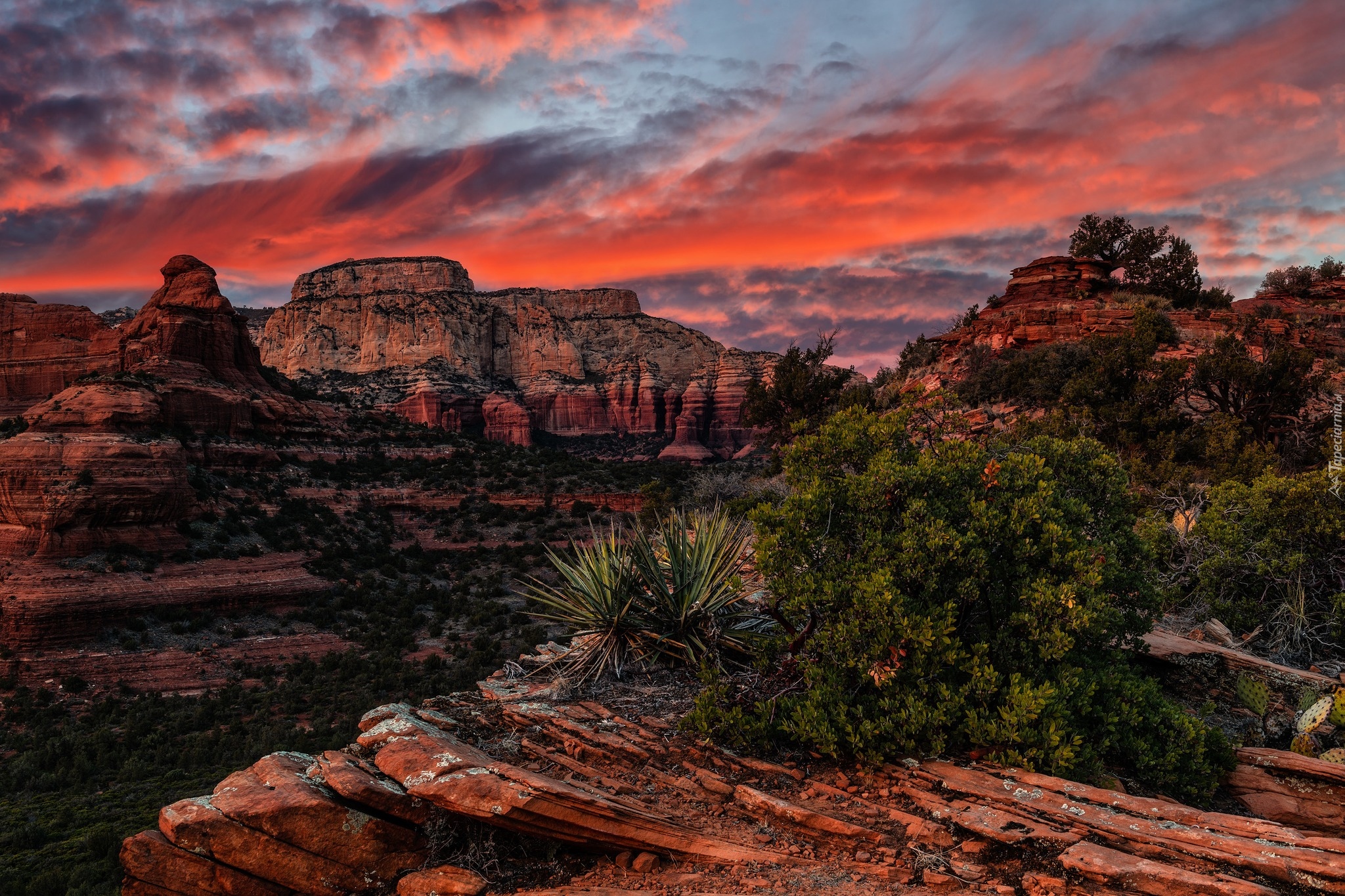 Góry, Skaliste, Szczyt, Maroon Peak, Maroon Bells, Skały, Drzewa, Rośliny, Kolorowe, Niebo, Sedona, Arizona, Stany Zjednoczone