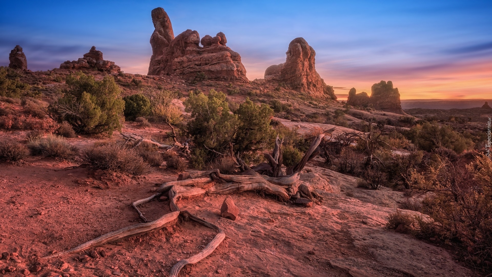 Góry, Skały, Krzewy, Formacje, Turret Arch, Park Narodowy Arches, Utah, Stany Zjednoczone