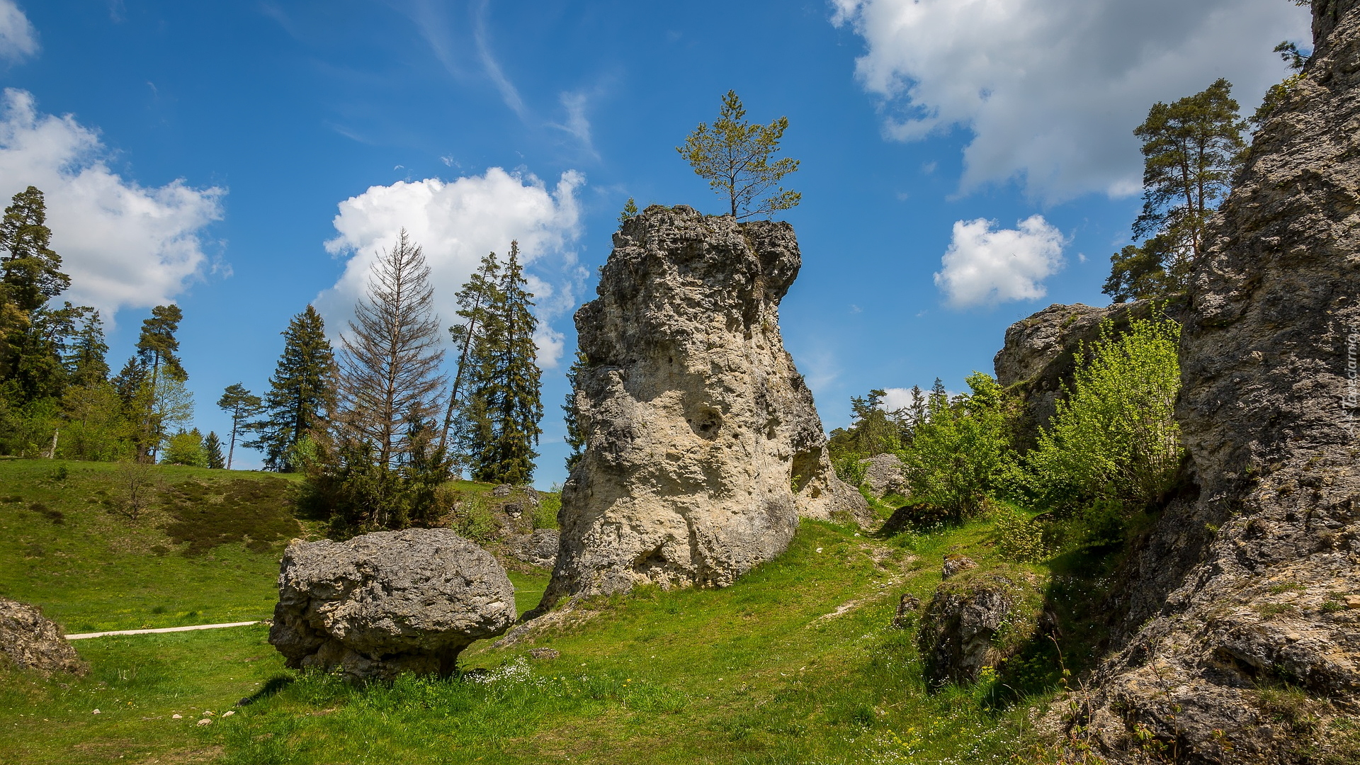 Skały, Kamienie, Trawa, Drzewa, Dolina, Wen Valley, Jura Szwabska, Niemcy