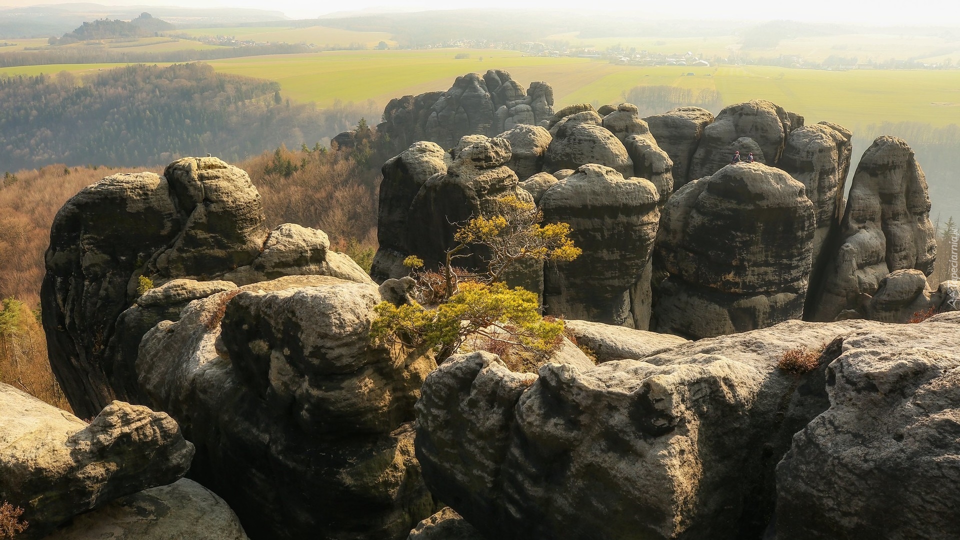 Formacja skalna, Skały, Góry Połabskie, Saska Szwajcaria, Niemcy