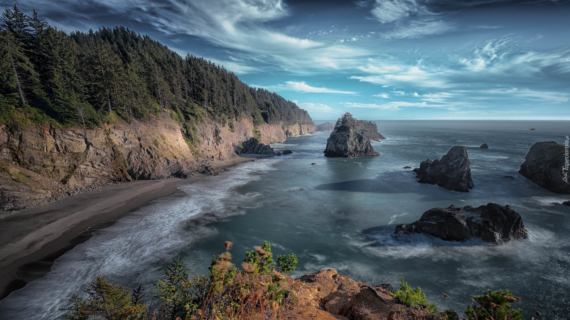 Skały, Klif, Morze, Drzewa, Park stanowy, Samuel H Boardman State Scenic Corridor, Oregon, Stany Zjednoczone