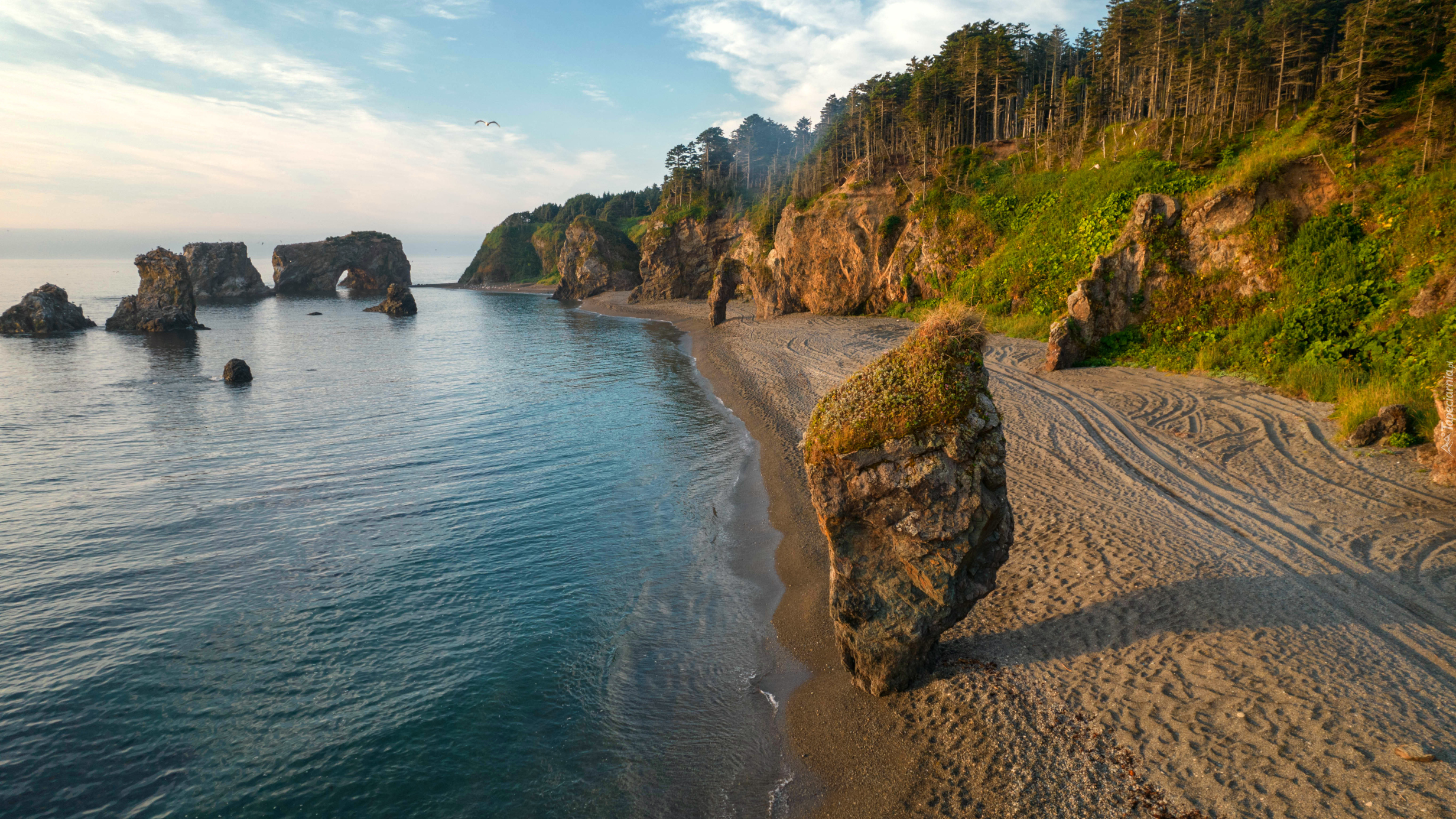 Wybrzeże, Morze, Plaża, Skały, Drzewa