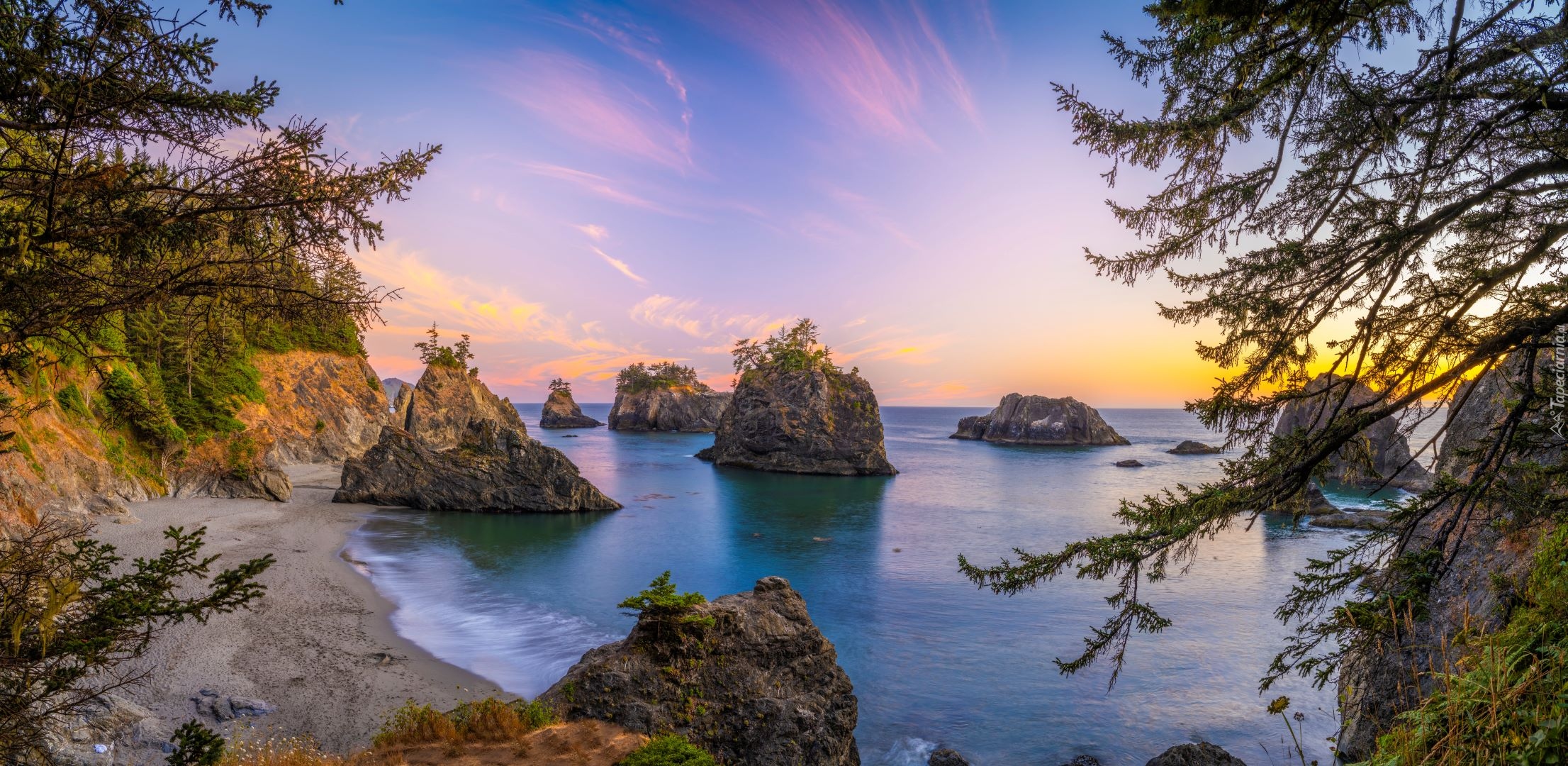 Skały, Morze, Drzewa, Wybrzeże, Park stanowy, Samuel H Boardman State Scenic Corridor, Oregon, Stany Zjednoczone