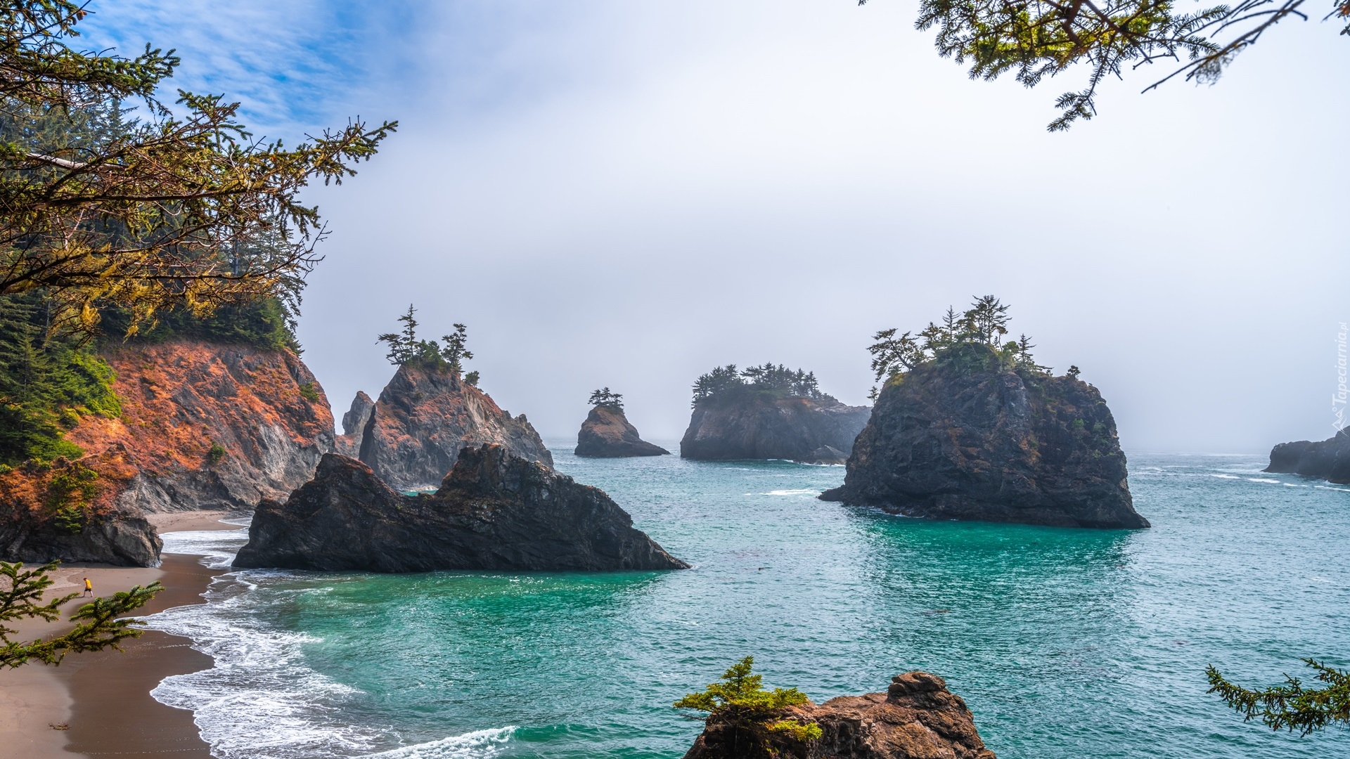 Skały, Morze, Drzewa, Park stanowy, Samuel H Boardman State Scenic Corridor, Oregon, Stany Zjednoczone