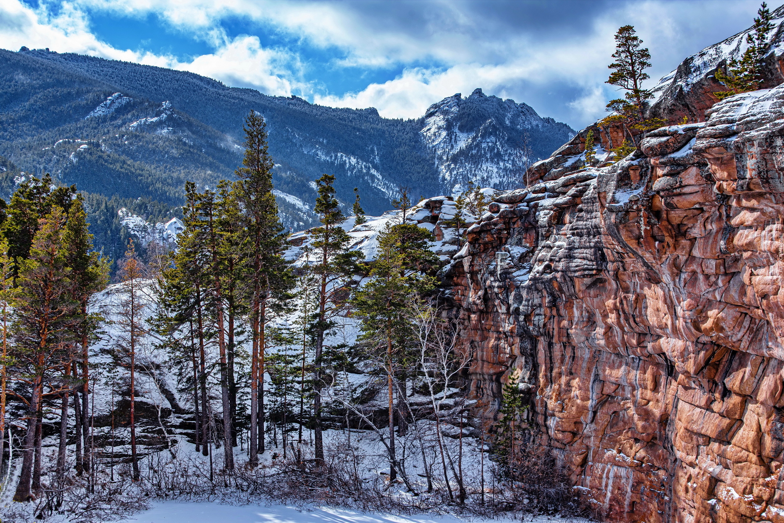 Góry, Skały, Drzewa, Sosny, Śnieg, Park Narodowy Karkaraly, Kazachstan