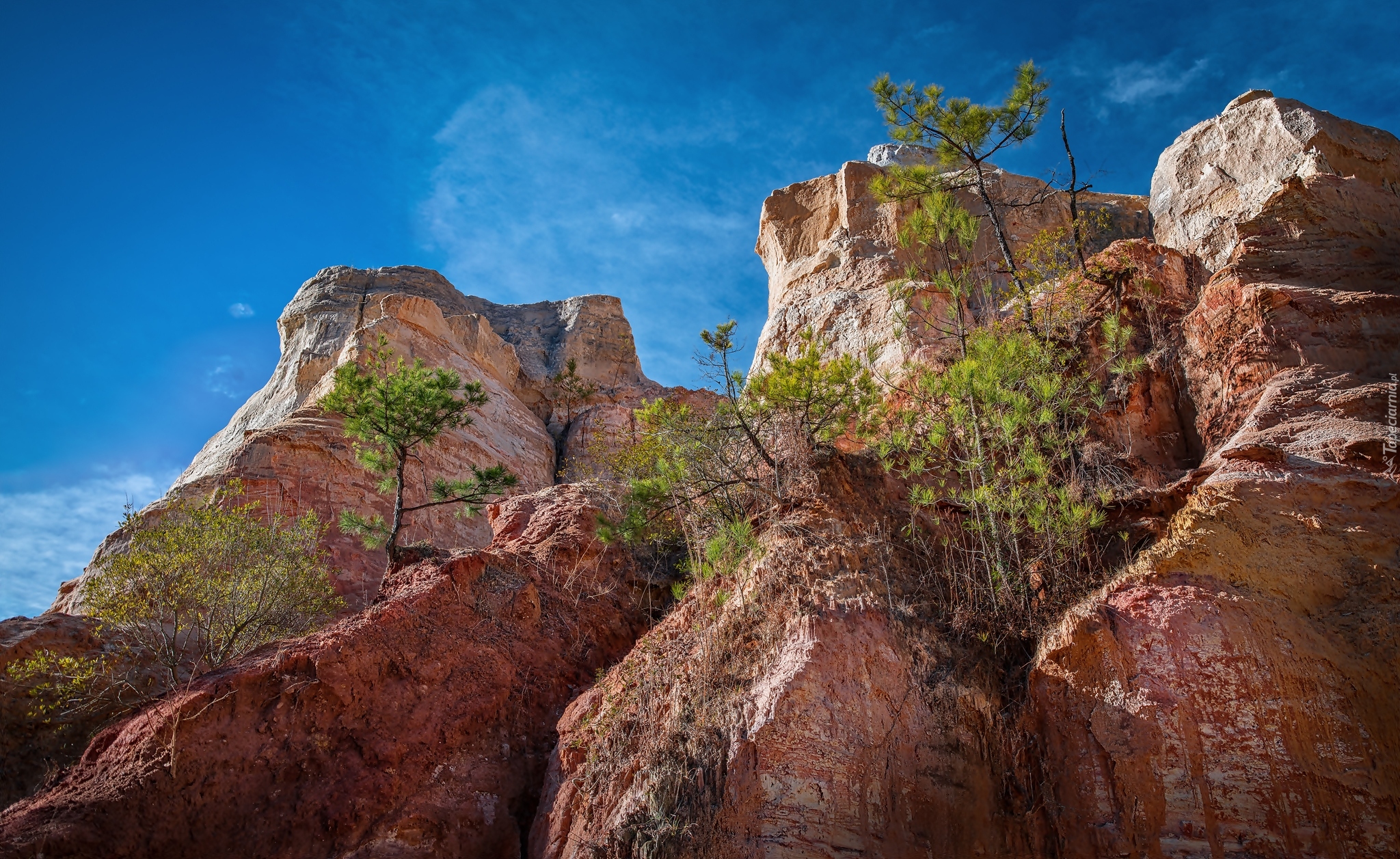 Stany Zjednoczone, Stan Georgia, Park stanowy Providence Canyon, Skały, Drzewka