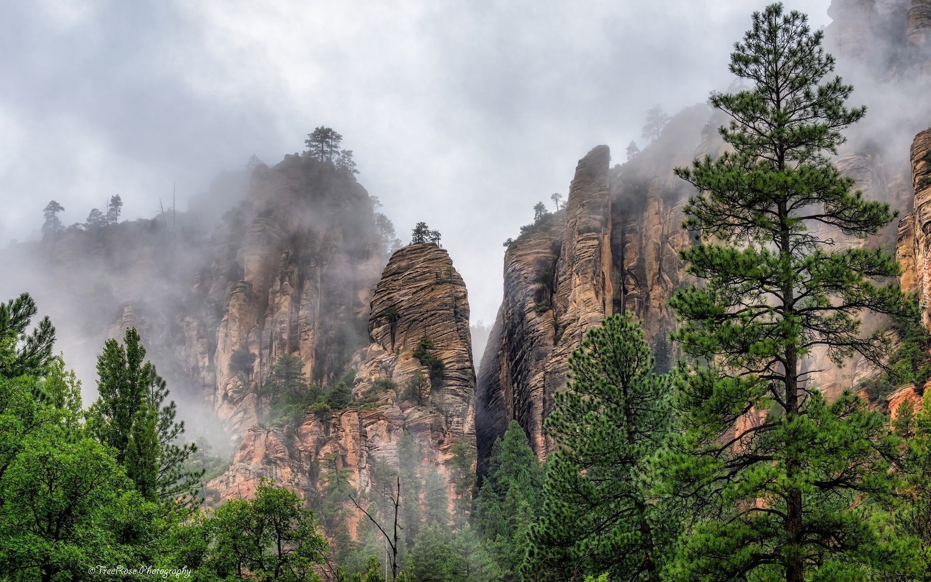 Stany Zjednoczone, Arizona, Wąwóz, Oak Creek Canyon, Skały, Mgła, Drzewa