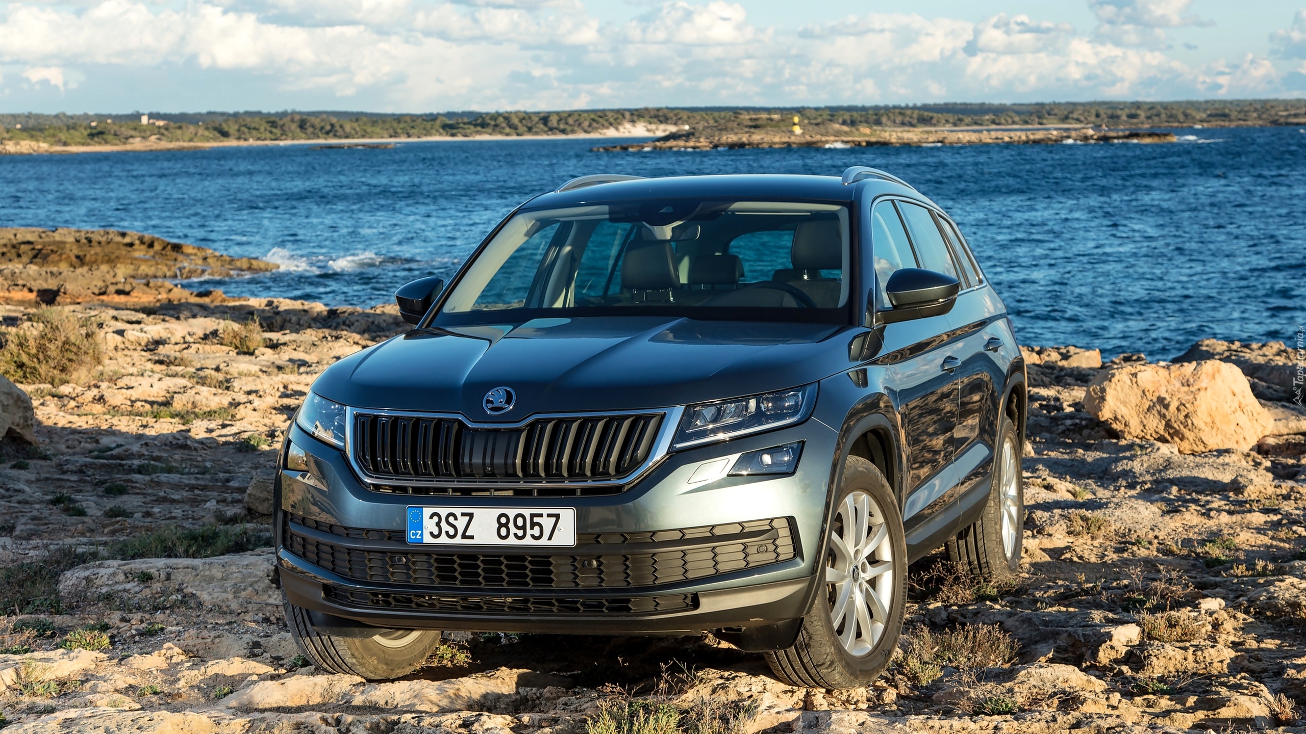 Skoda Kodiaq, 2017, Rzeka