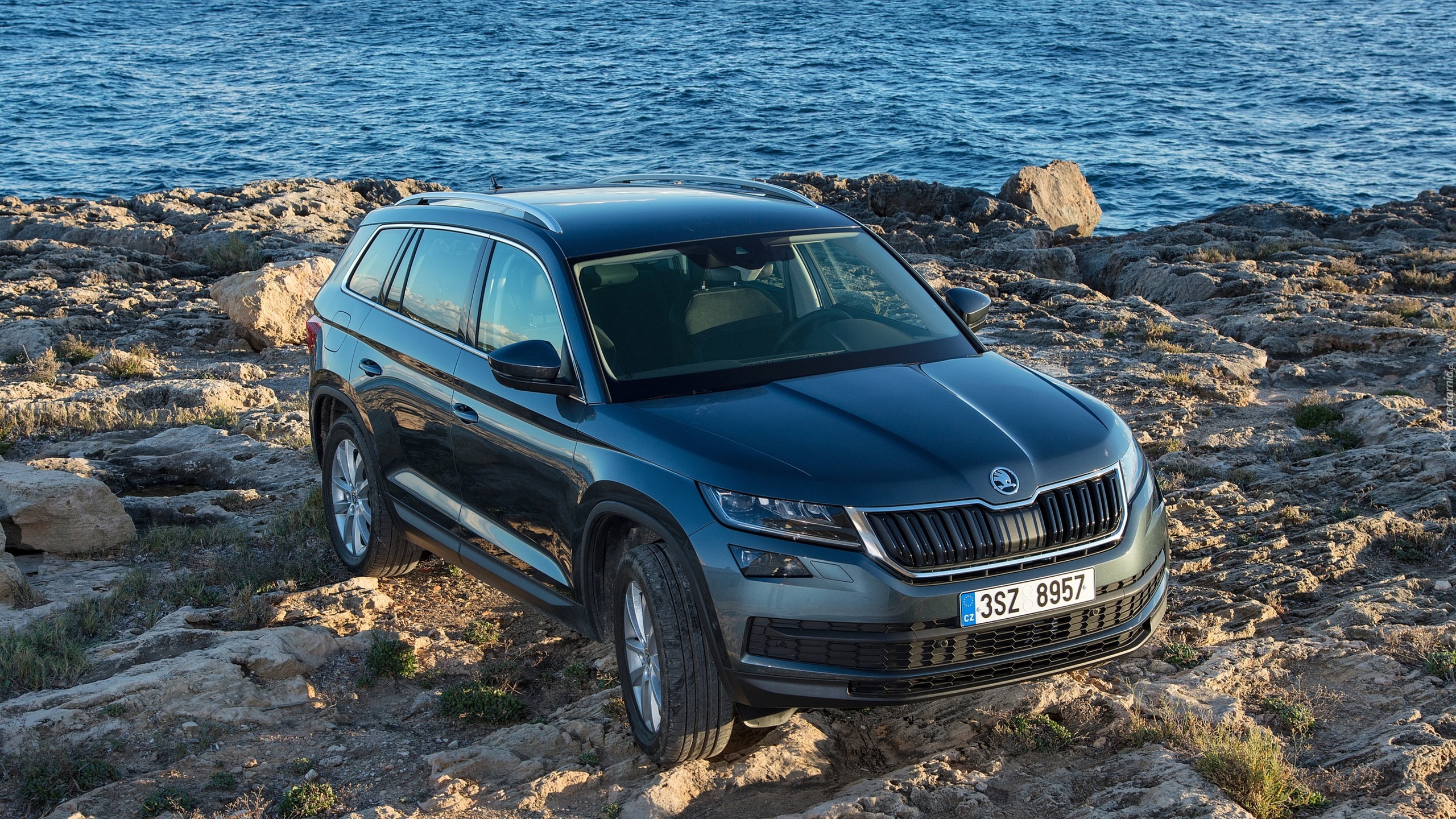 Skoda Kodiaq, 2017