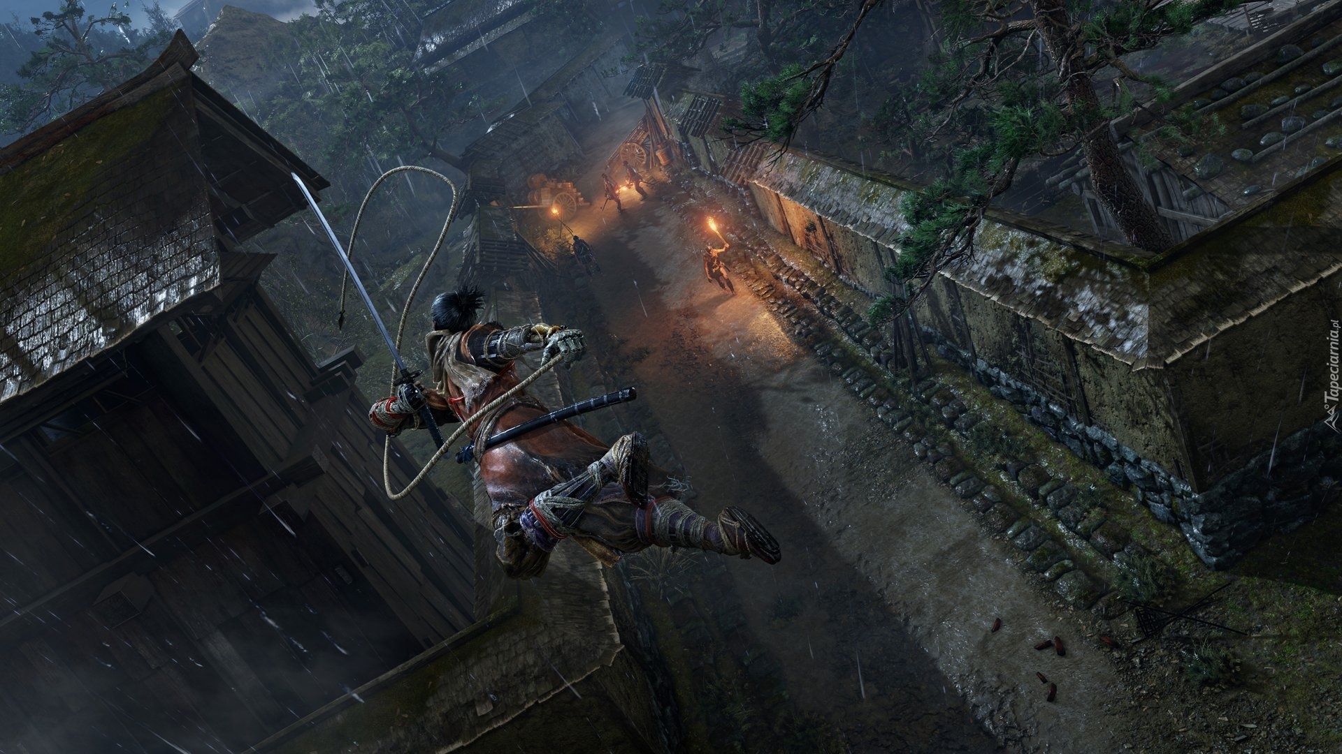 Gra, Sekiro Shadows Die Twice, Wojownik