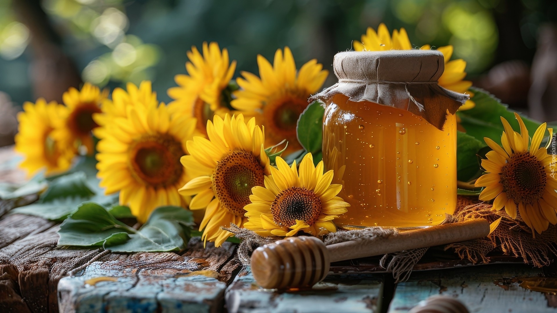 Miód, Słoik, Nabierak, Słoneczniki ozdobne, Stare, Deski