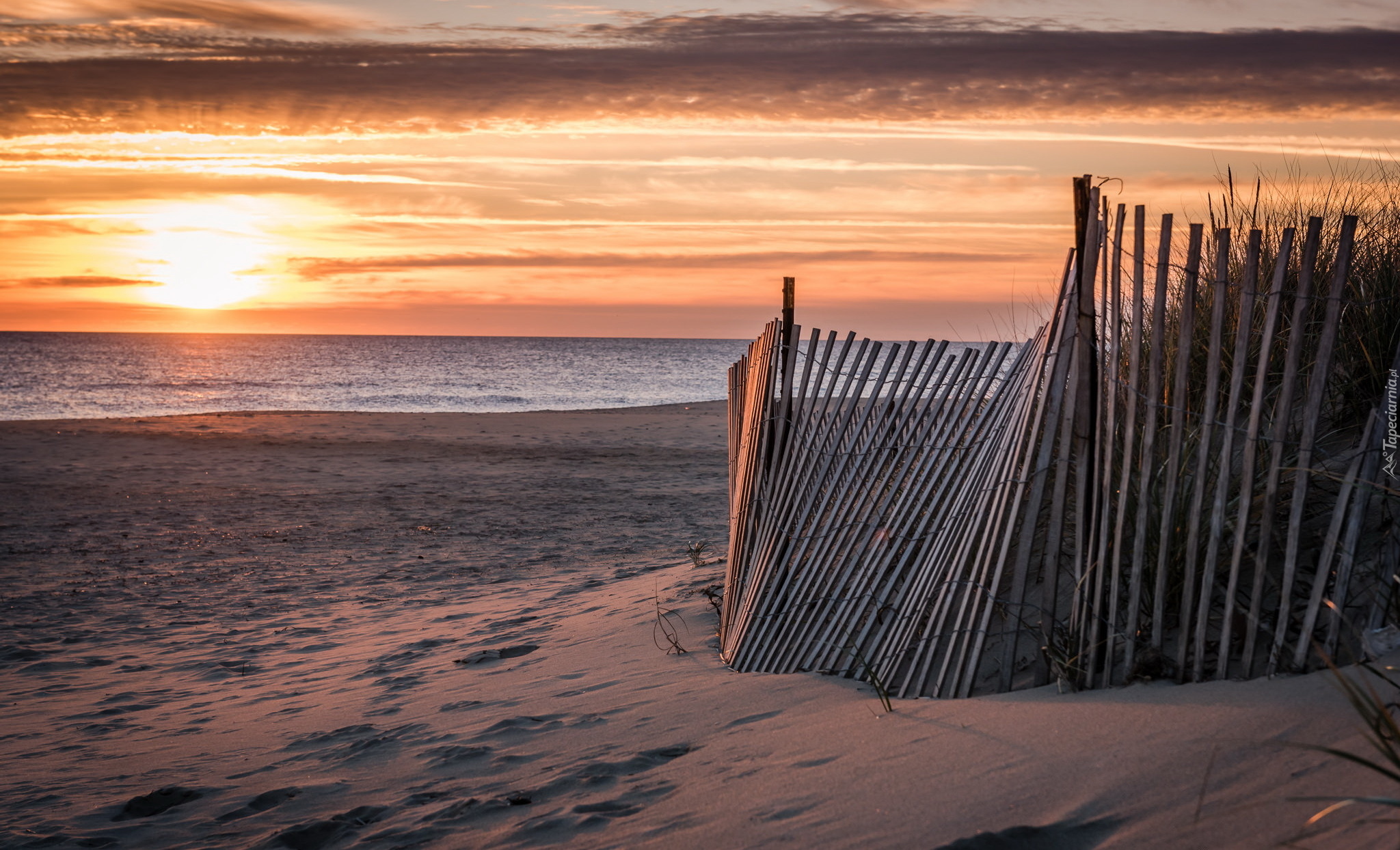 Morze, Plaża, Wschód Słońca, Płot