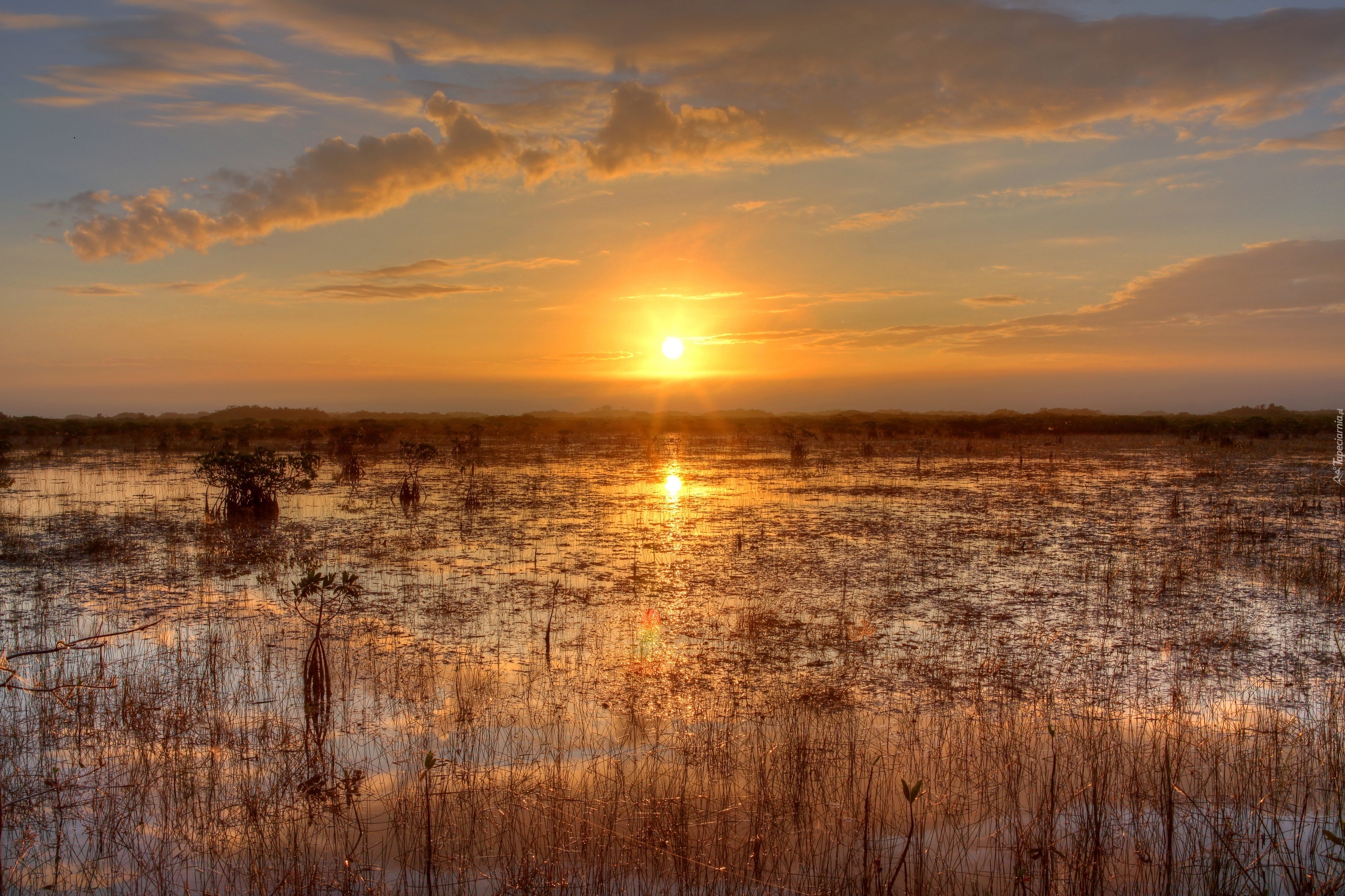 Stany Zjednoczone, Floryda, Park Narodowy Everglades, Zachód Słońca, Bagno