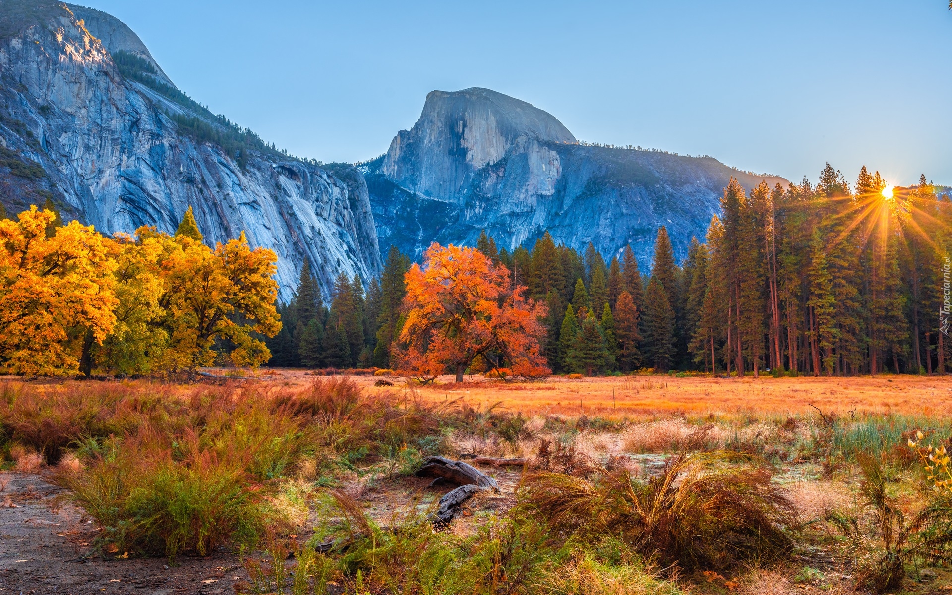 Park Narodowy Yosemite, Góry, Góra, Half Dome, Drzewa, Las, Jesień, Promienie słońca, Kalifornia, Stany Zjednoczone