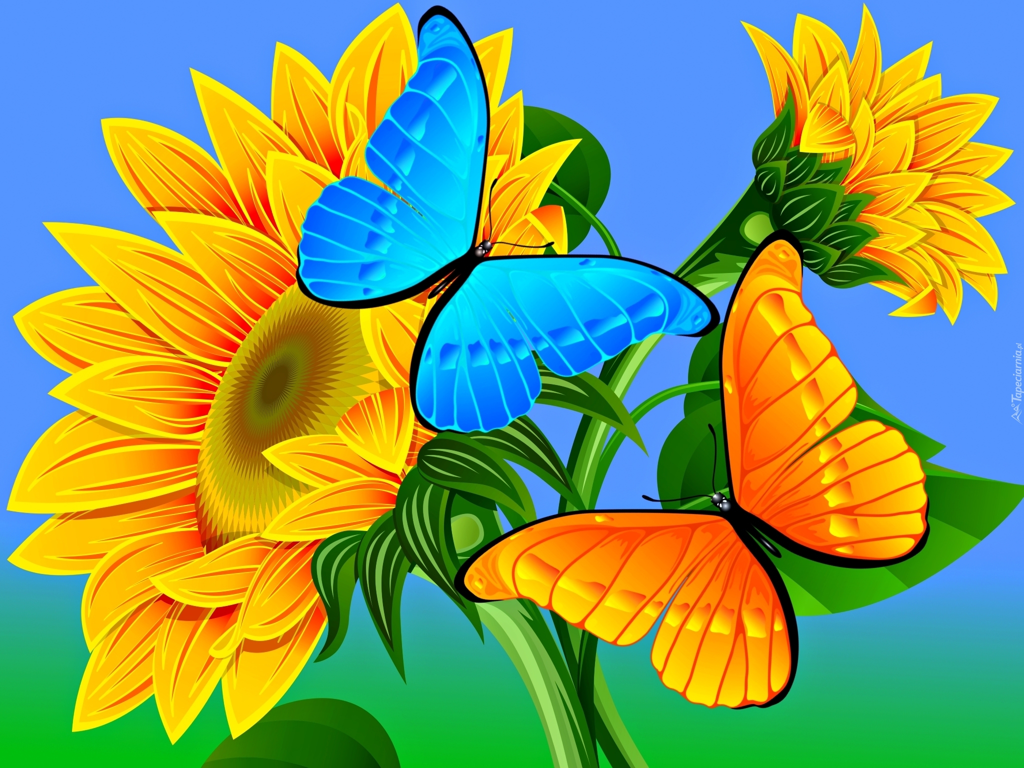 Słoneczniki, Motyle, Grafika 2D