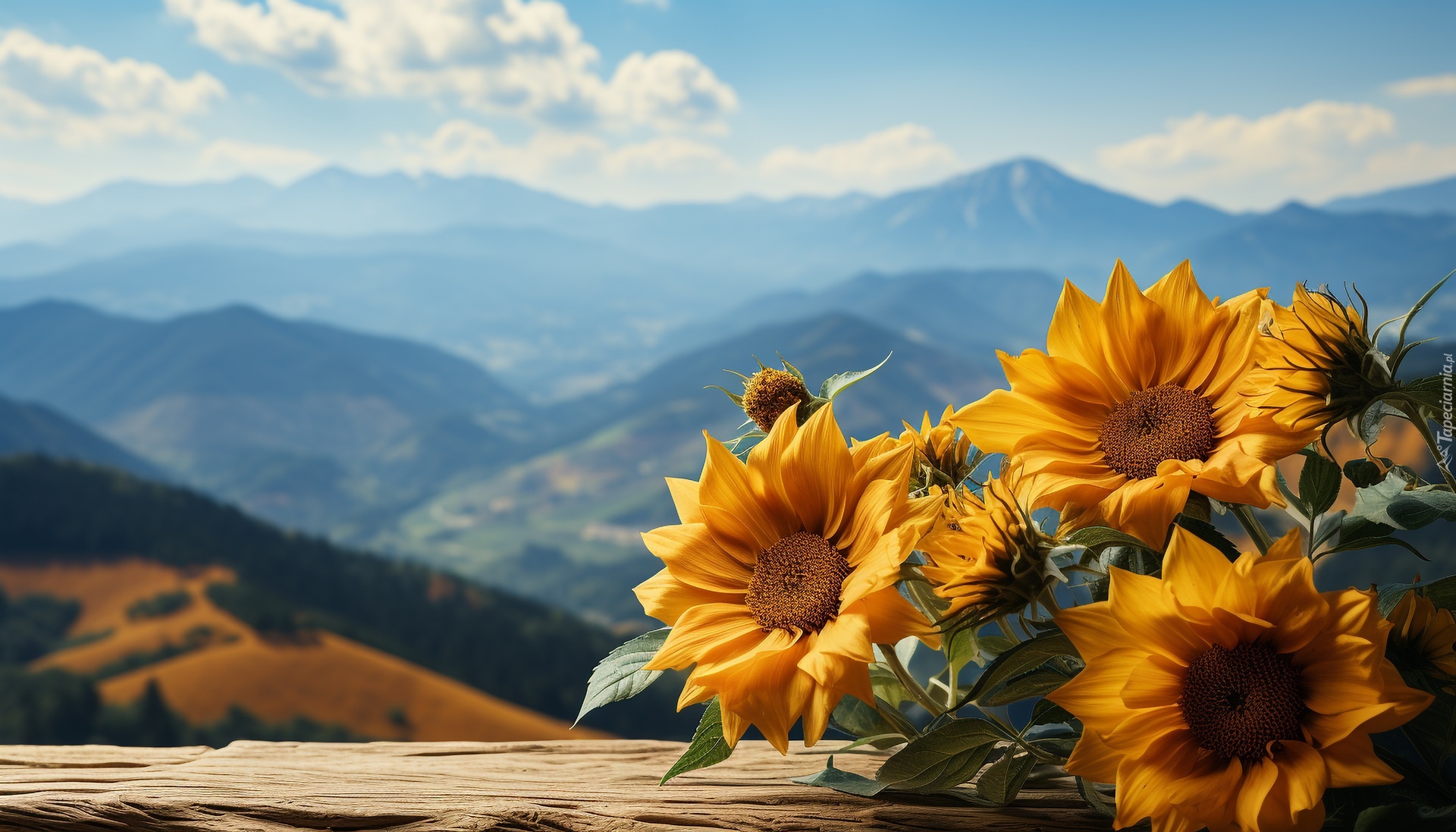 Słoneczniki ozdobne, Kwiaty, Góry, Grafika AI