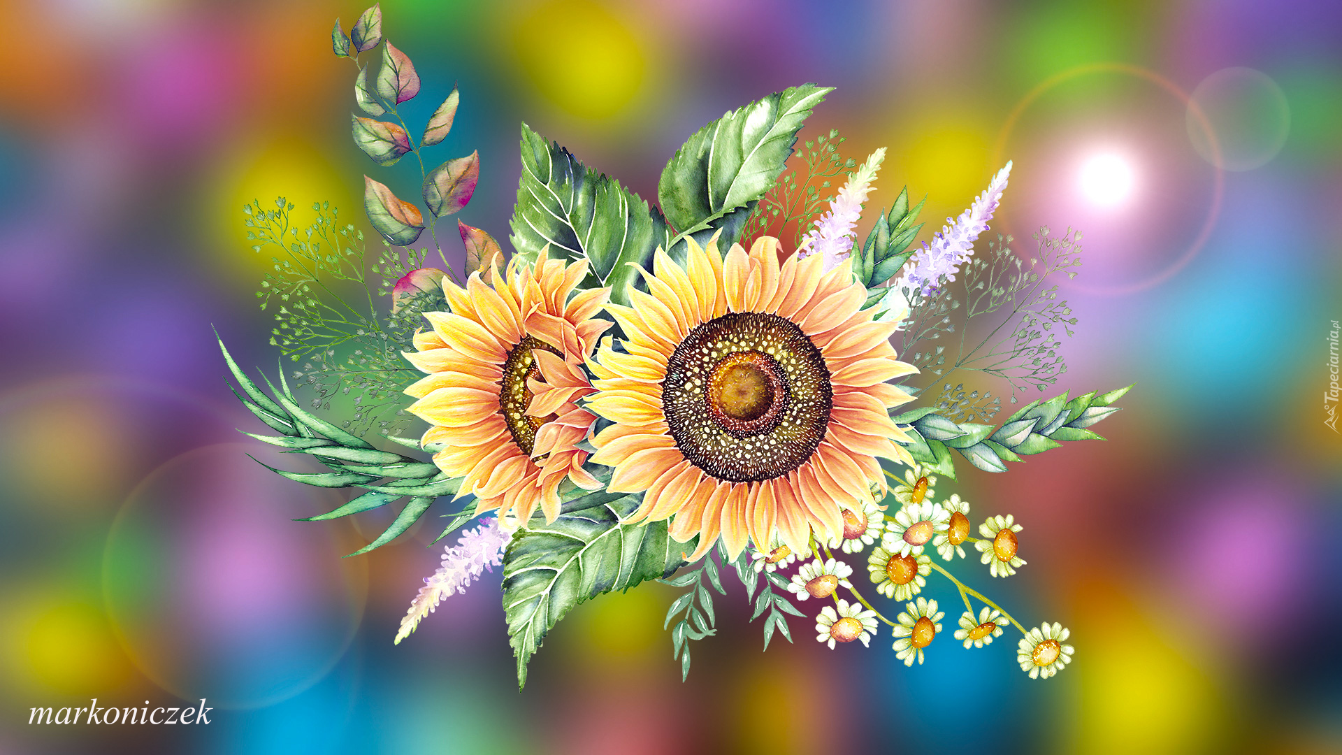 Kwiaty, Słoneczniki, Grafika, 2D