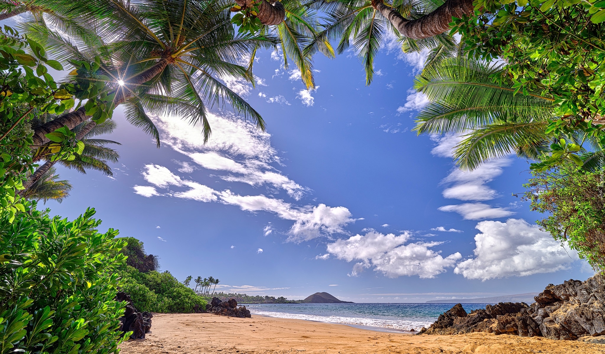 Hawaje, Promienie słońca, Morze, Plaża, Palmy, Roślinność, Chmury