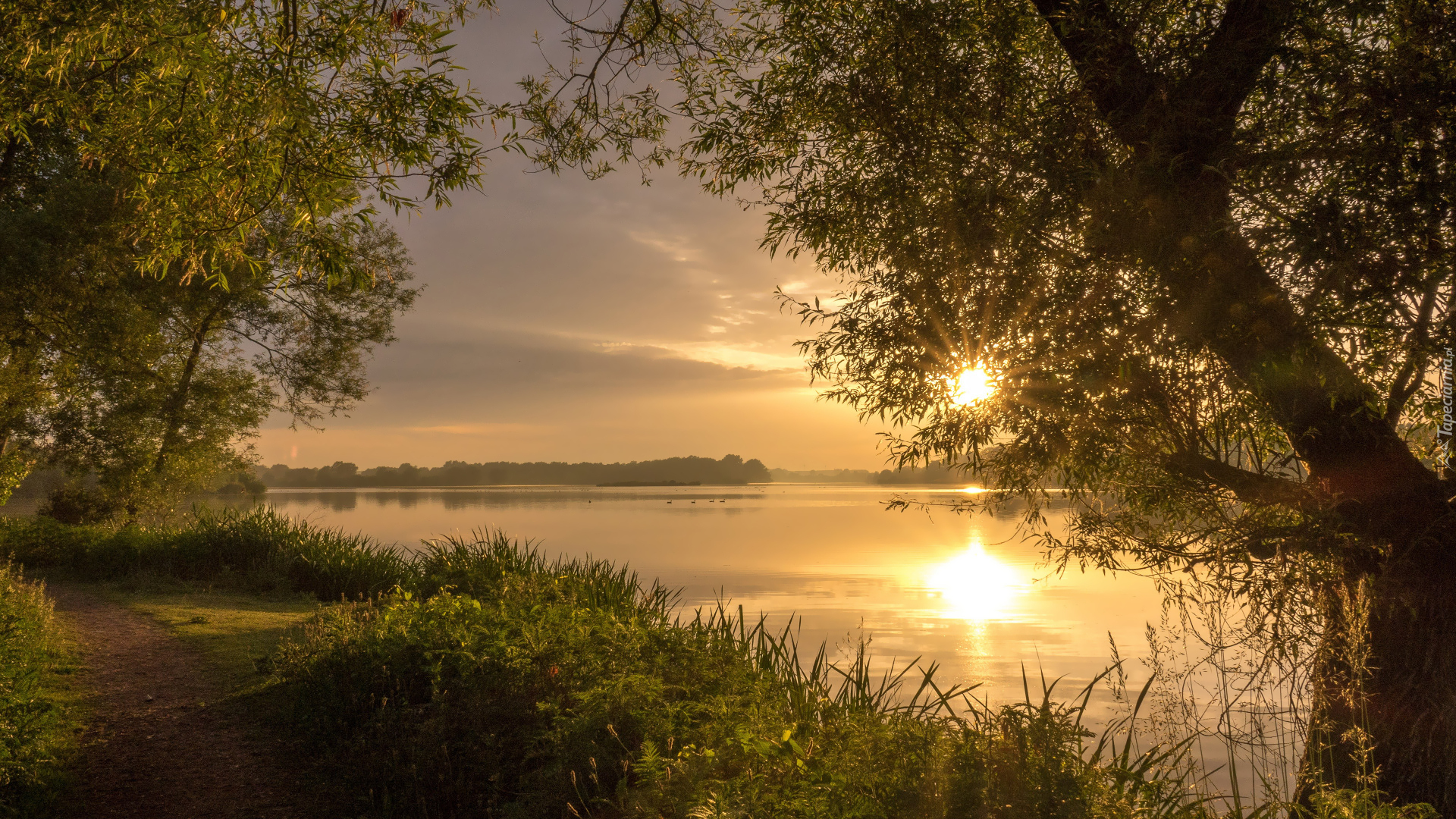 Jezioro, Drzewa, Brzeg, Ścieżka, Wschód słońca