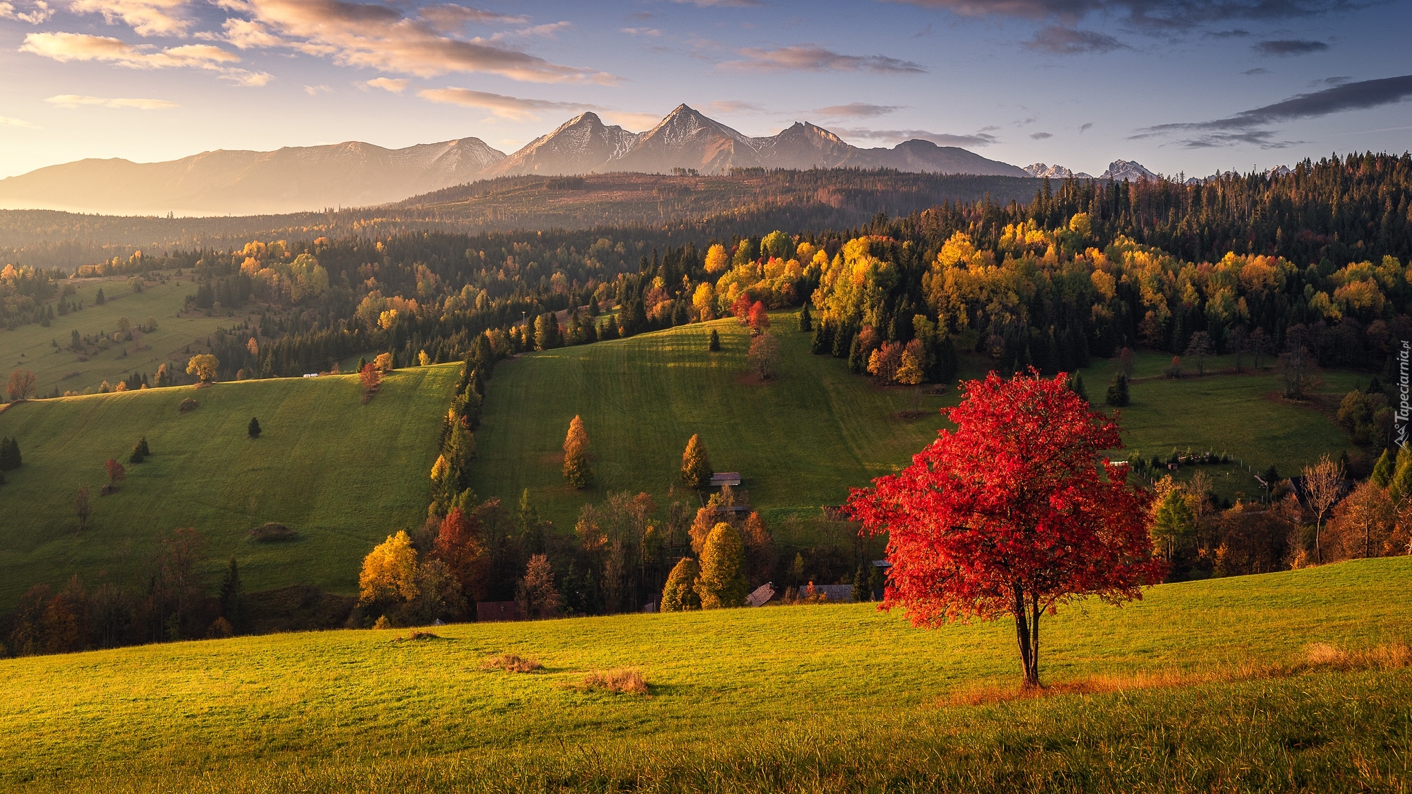 Jesień, Drzewa, Góry, Lasy, Wzgórza, Zamagurze, Słowacja