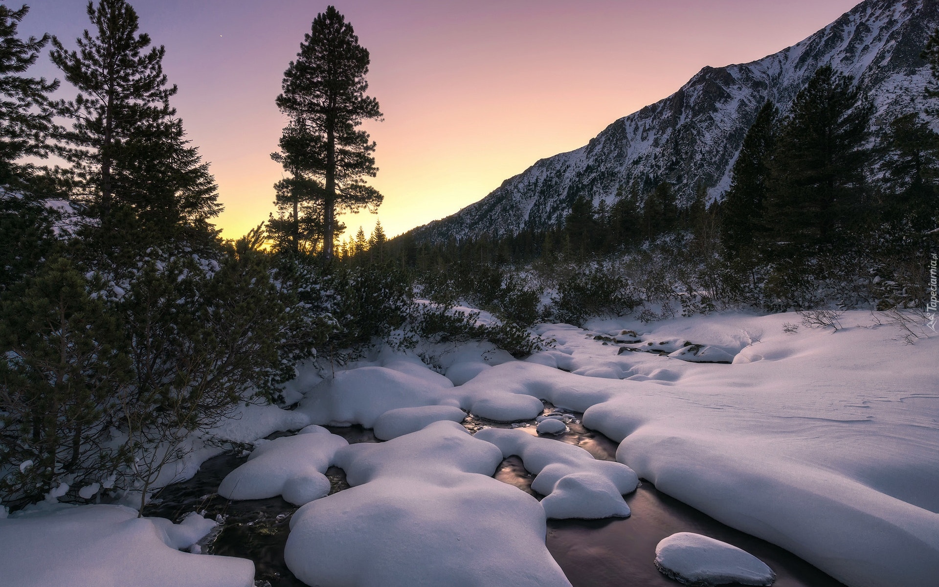 Słowacja, Góry, Tatry, Drzewa, Rzeka, Śnieg