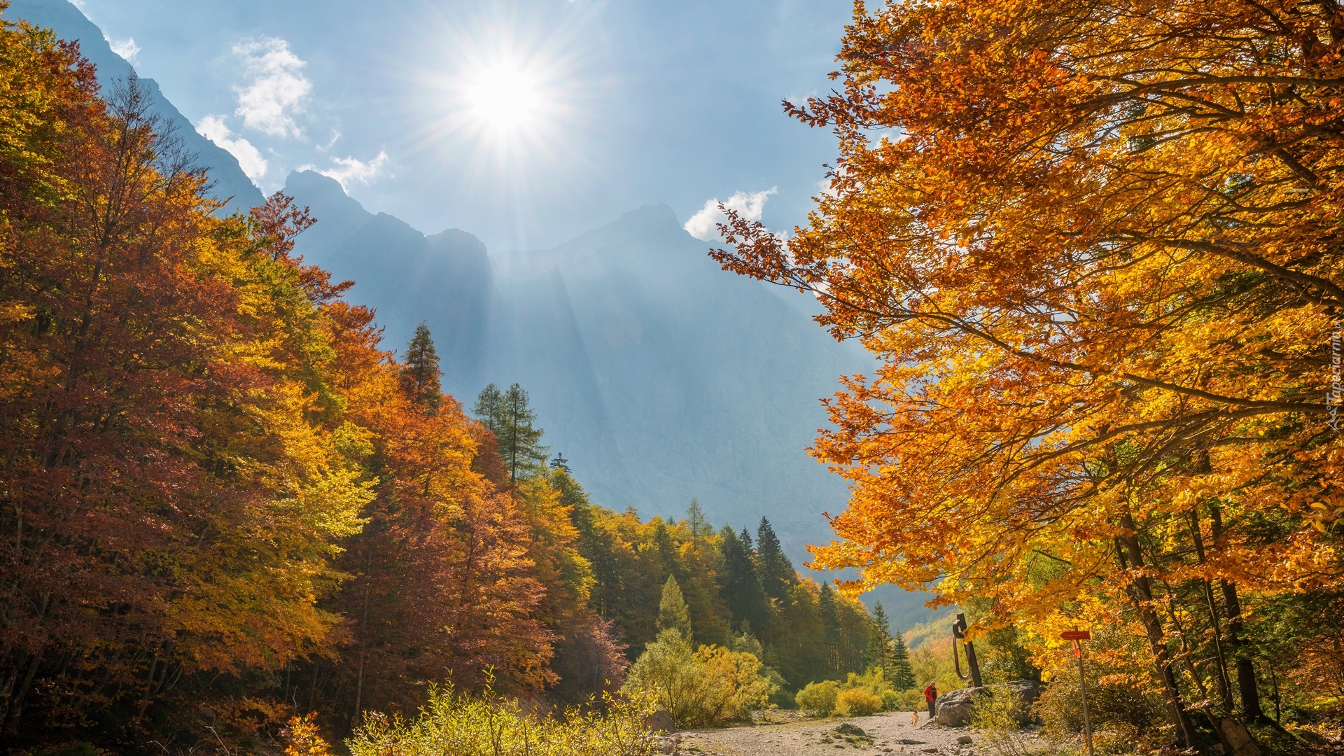 Triglavski Park Narodowy, Góry, Alpy Julijskie, Góra Triglav, Drzewa, Jesień, Promienie słońca, Dolina Vrata, Kranjska Gora, Słowenia