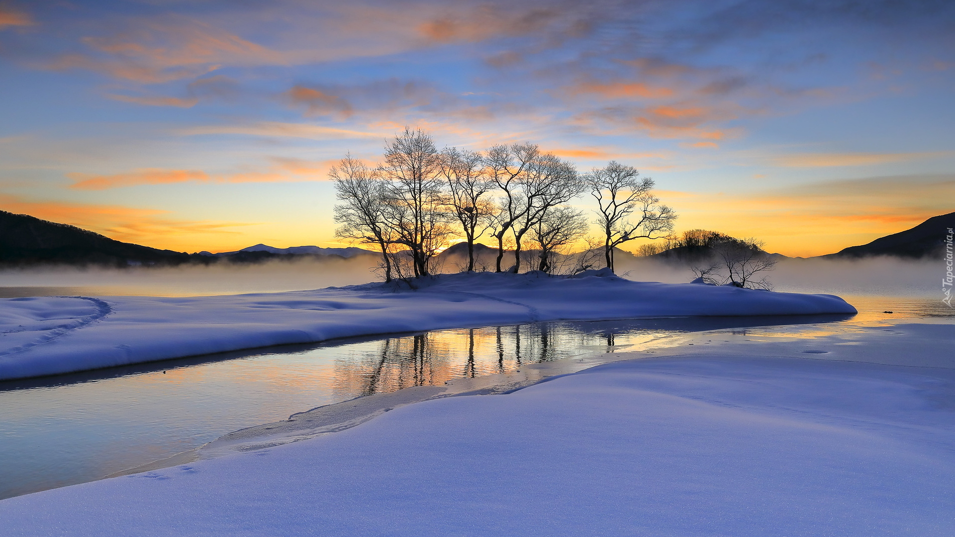 Zima, Wschód słońca, Drzewa, Mgła, Zaśnieżone, Jezioro, Lake Hibara, Hosono, Fukushima, Japonia