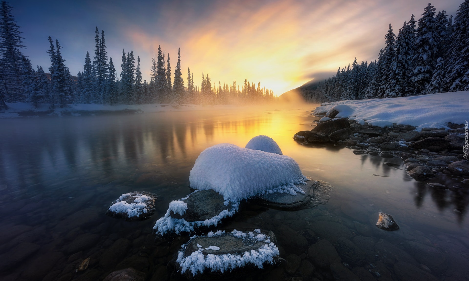 Zima, Rzeka, Bow River, Drzewa, Las, Wschód słońca, Mgła, Park Narodowy Banff, Alberta, Kanada