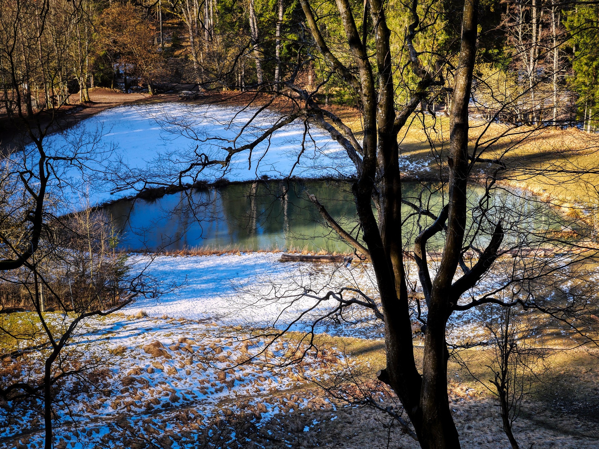 Jesień, Las, Drzewa, Śnieg, Staw, Słoneczny, Dzień